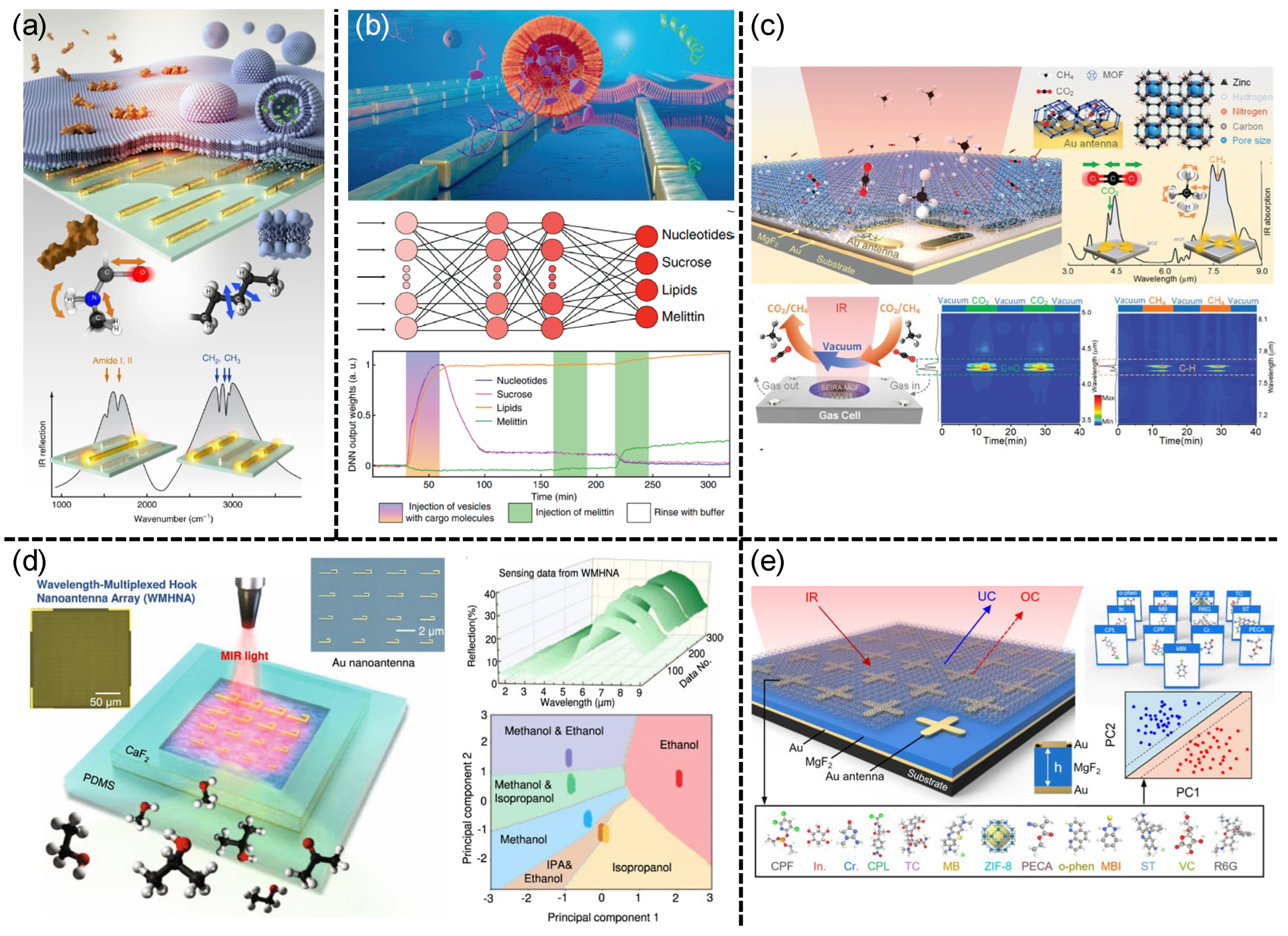 Preprints 162064 g004