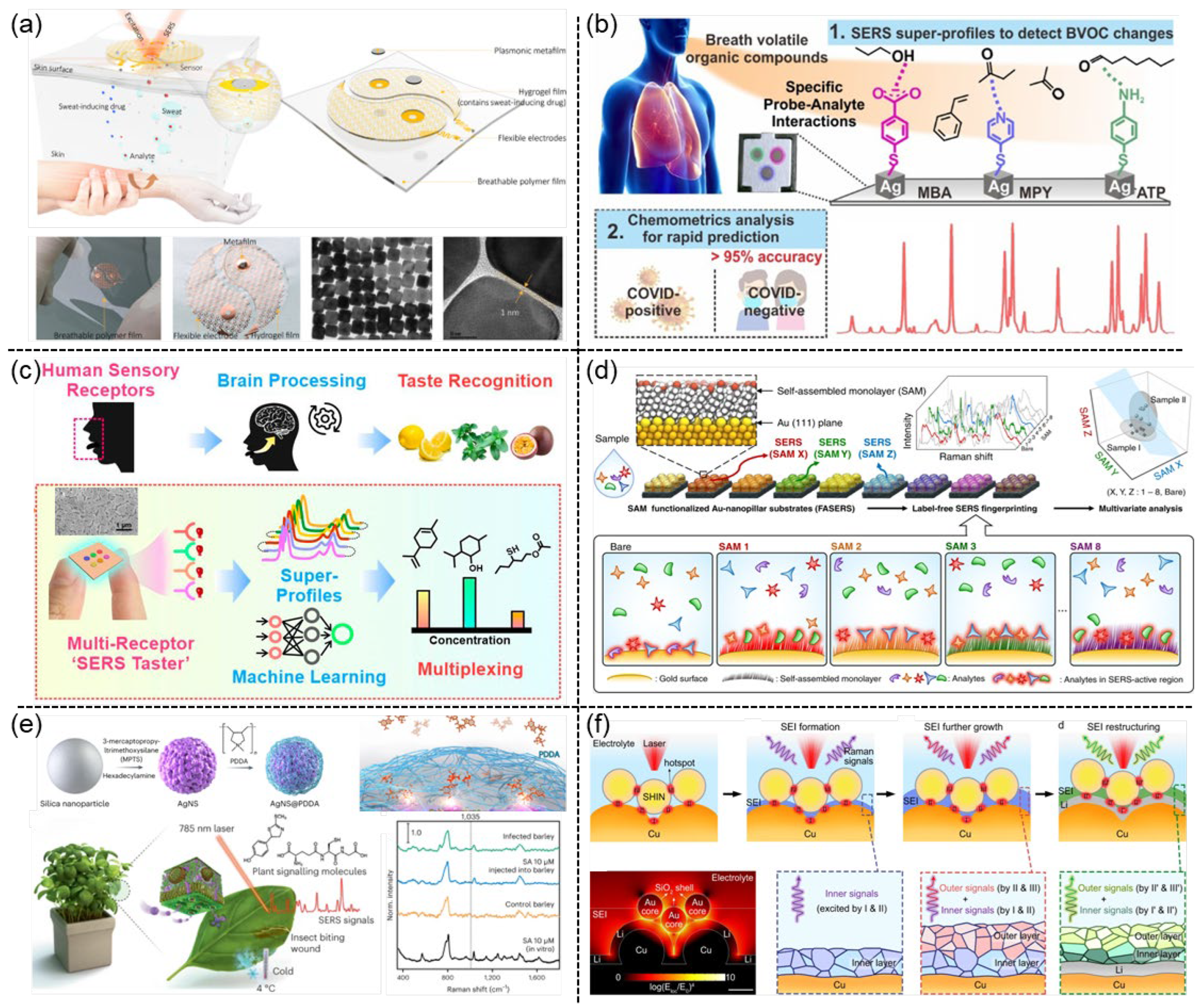 Preprints 162064 g005