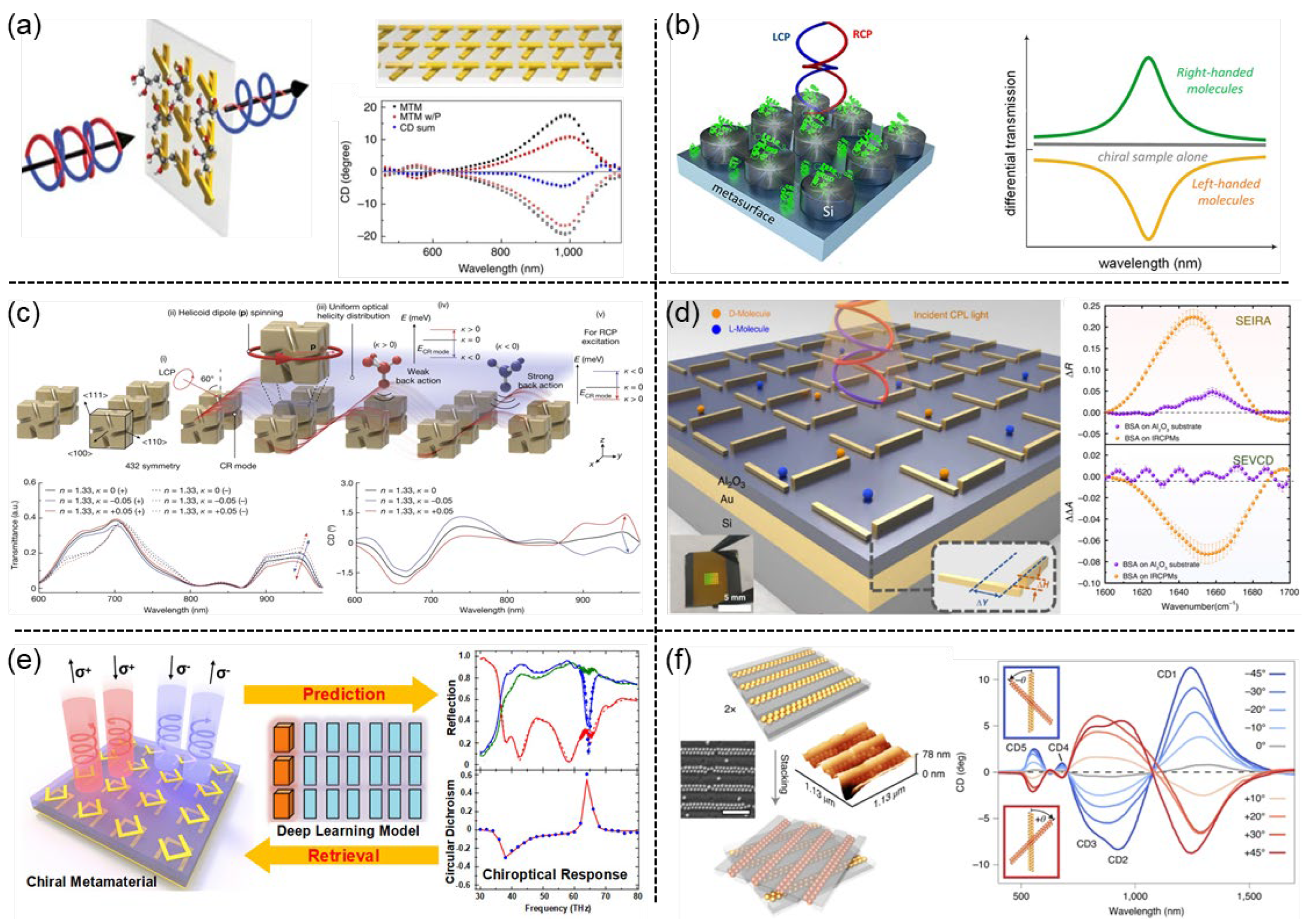 Preprints 162064 g006