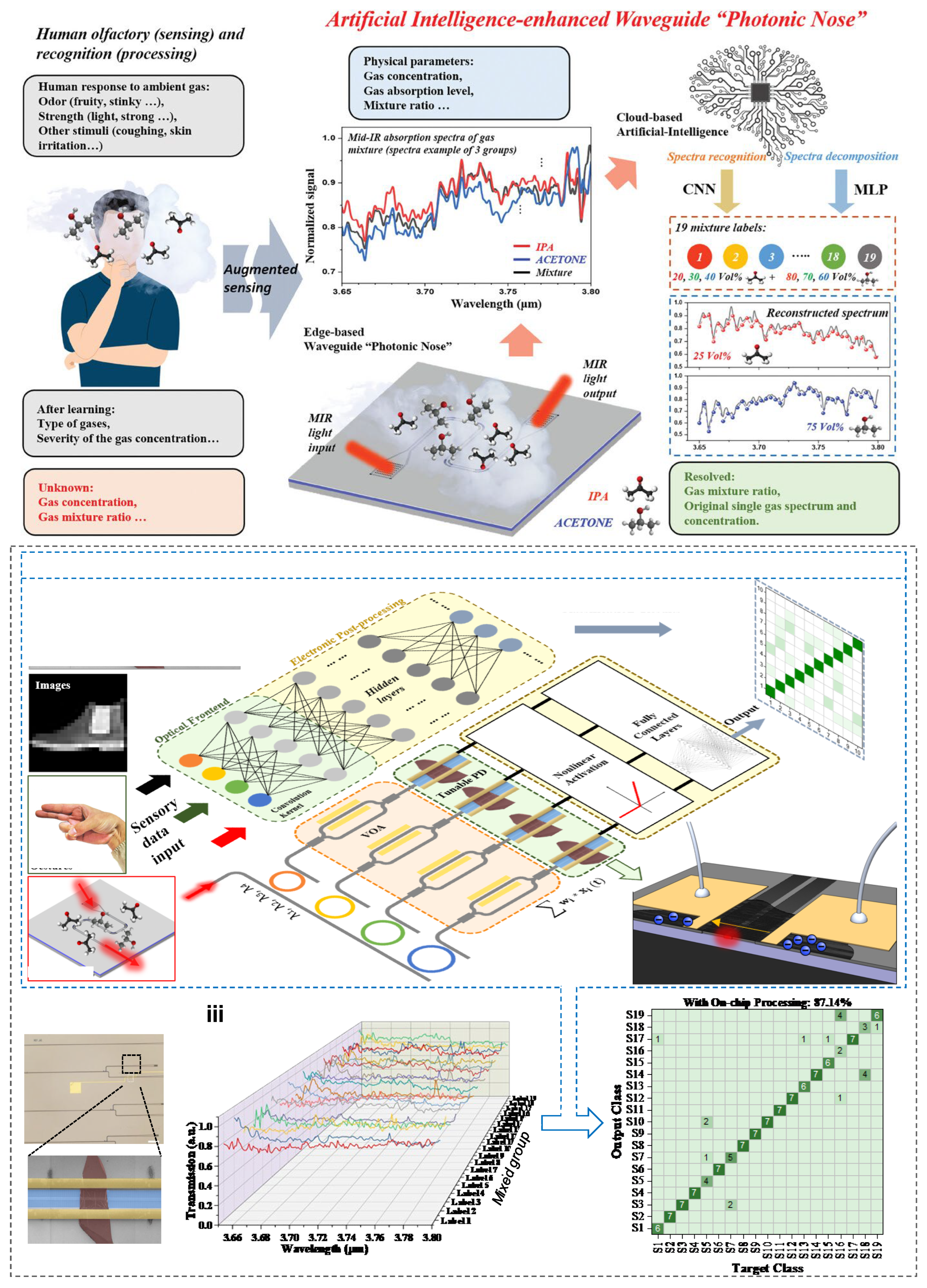 Preprints 162064 g009