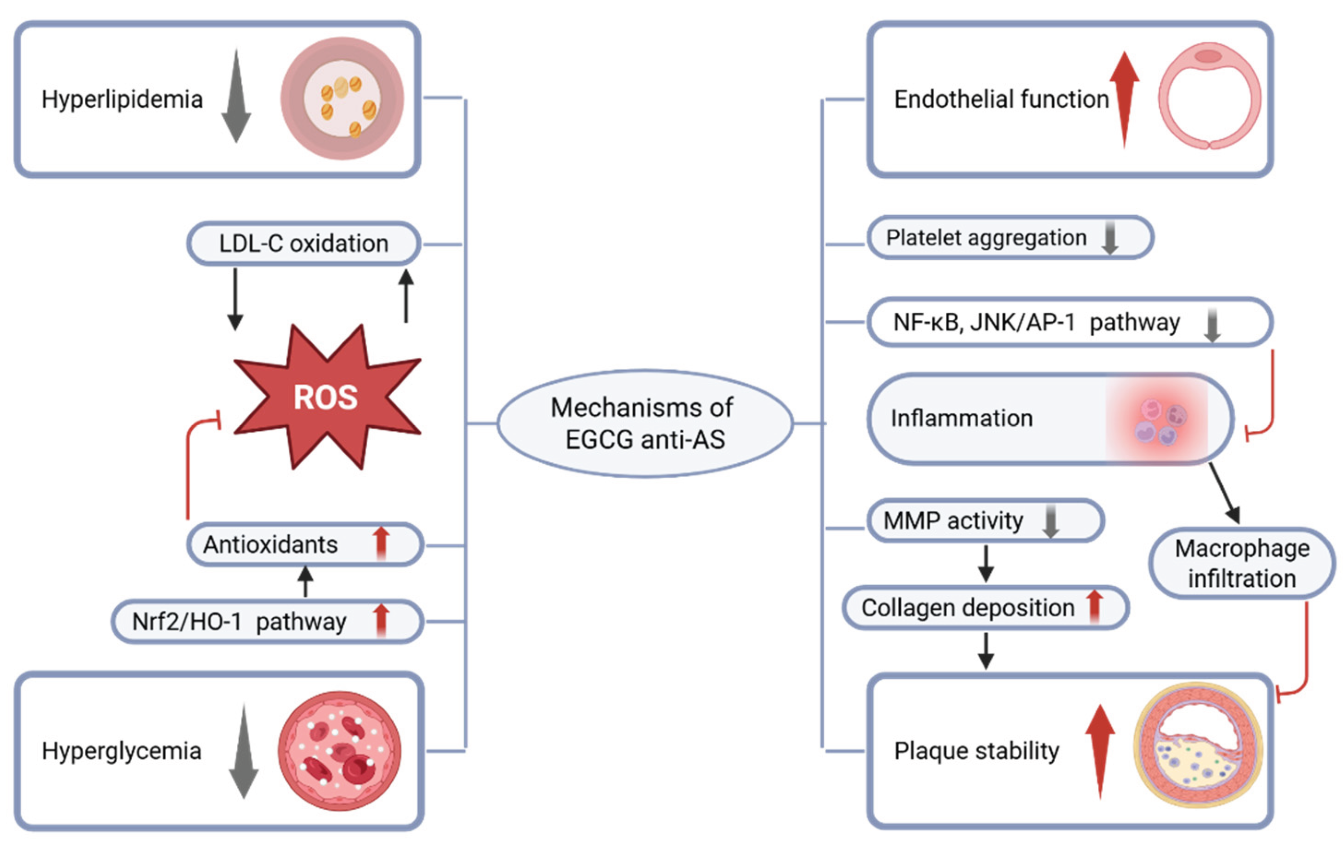 Preprints 181690 g001