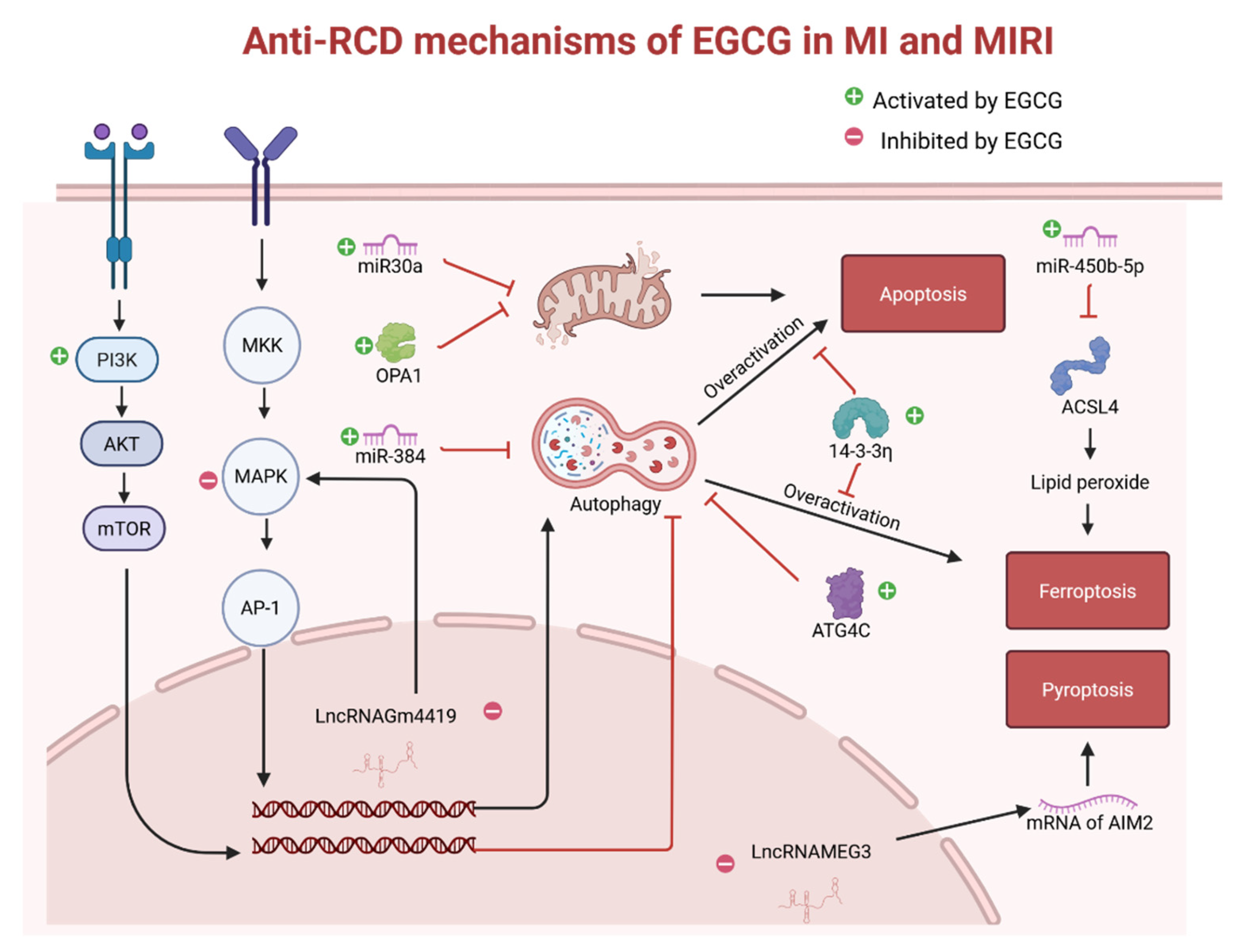 Preprints 181690 g002