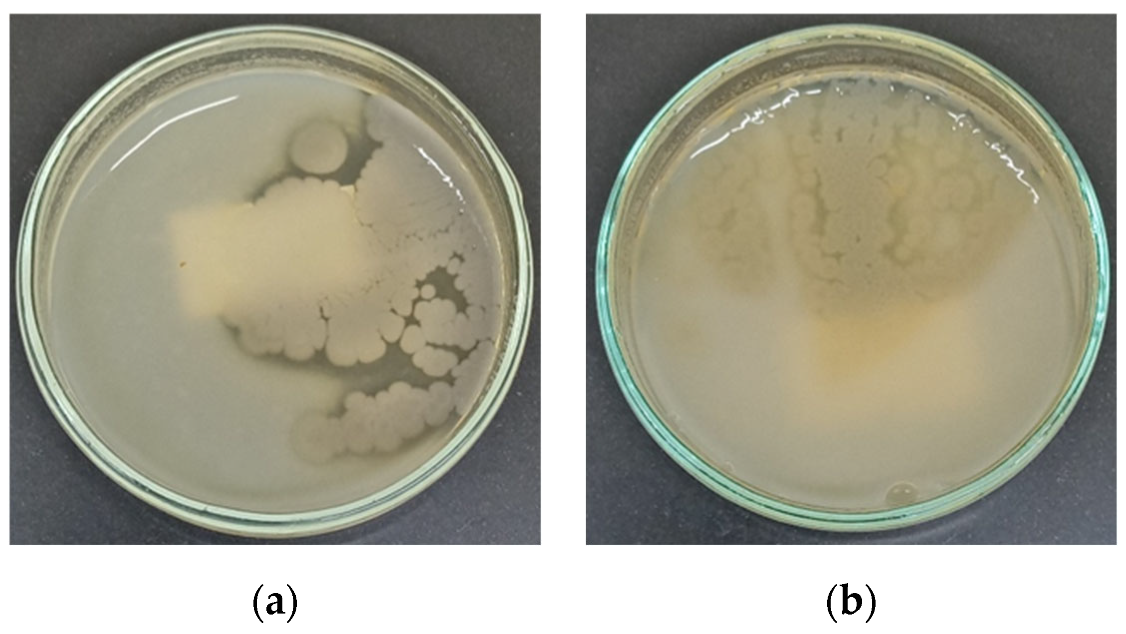 Preprints 159375 g003
