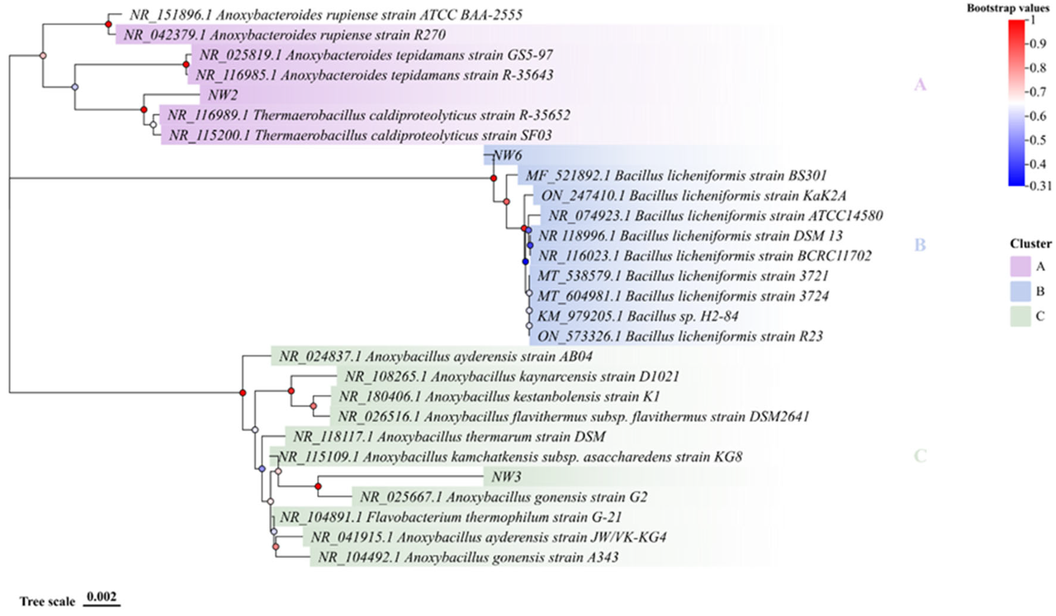 Preprints 159375 g005