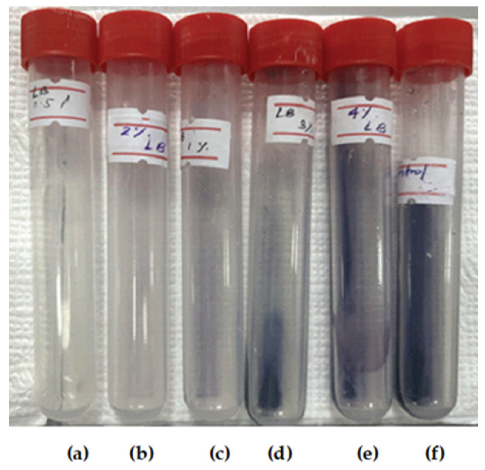 Preprints 159375 g010