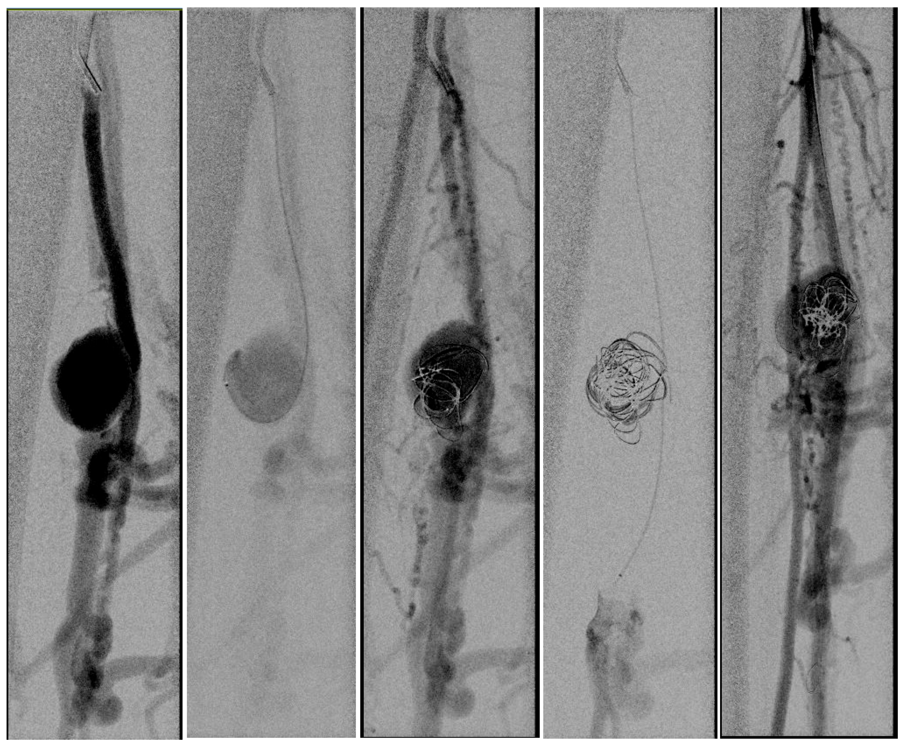 Preprints 191685 g002