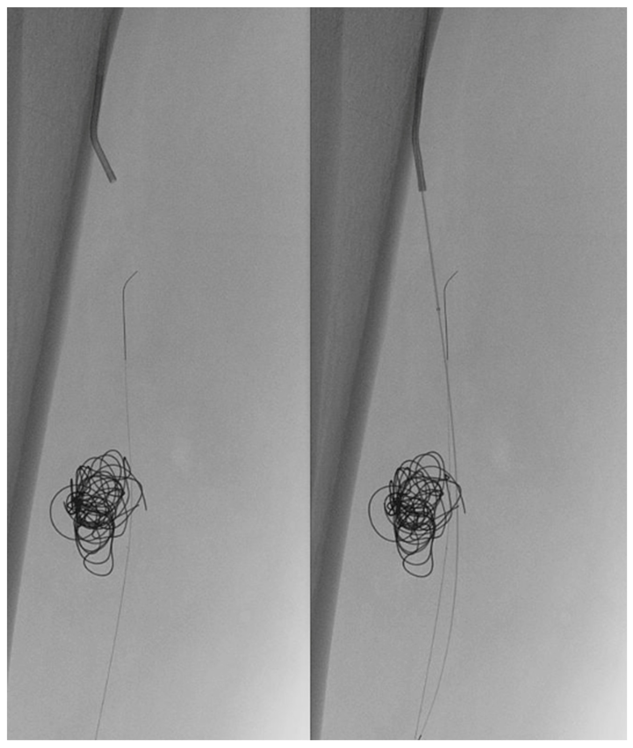 Preprints 191685 g003