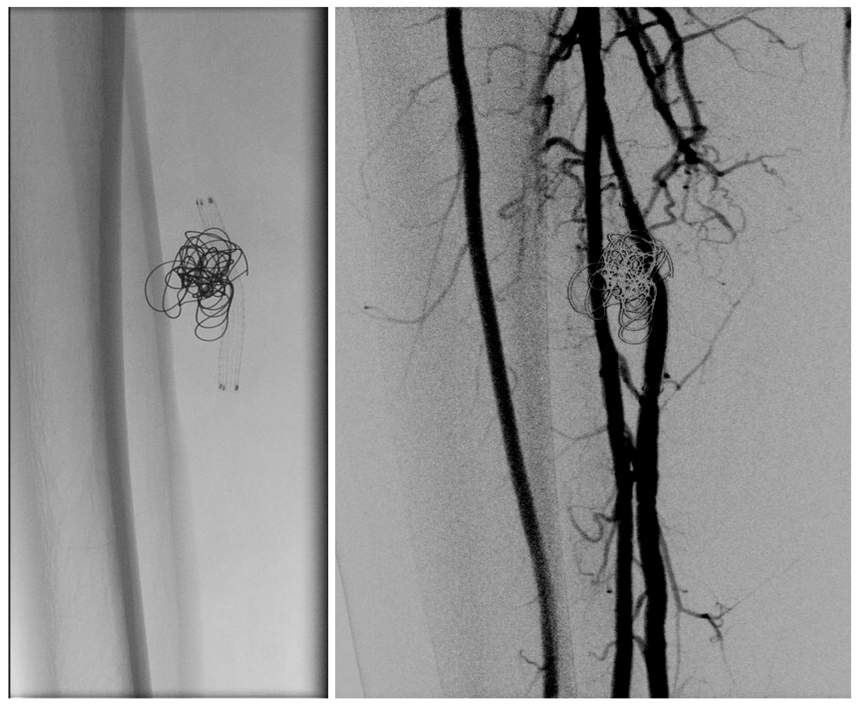 Preprints 191685 g004