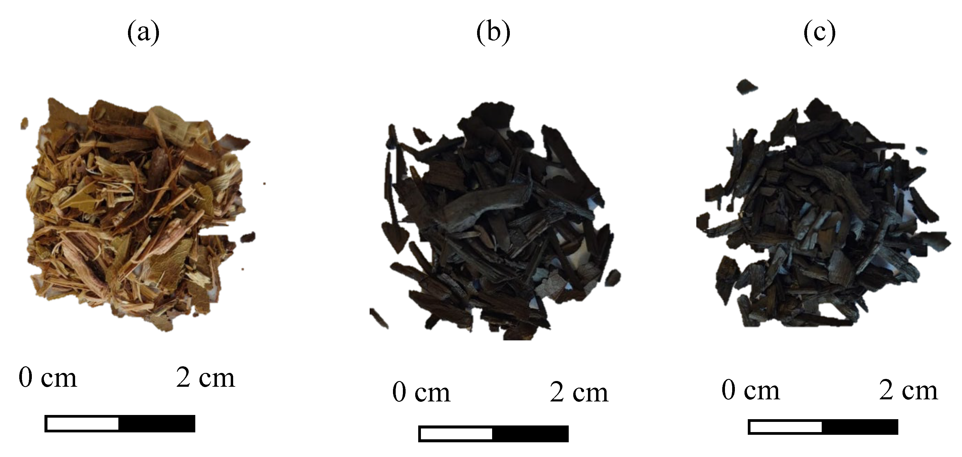 Preprints 159306 g001