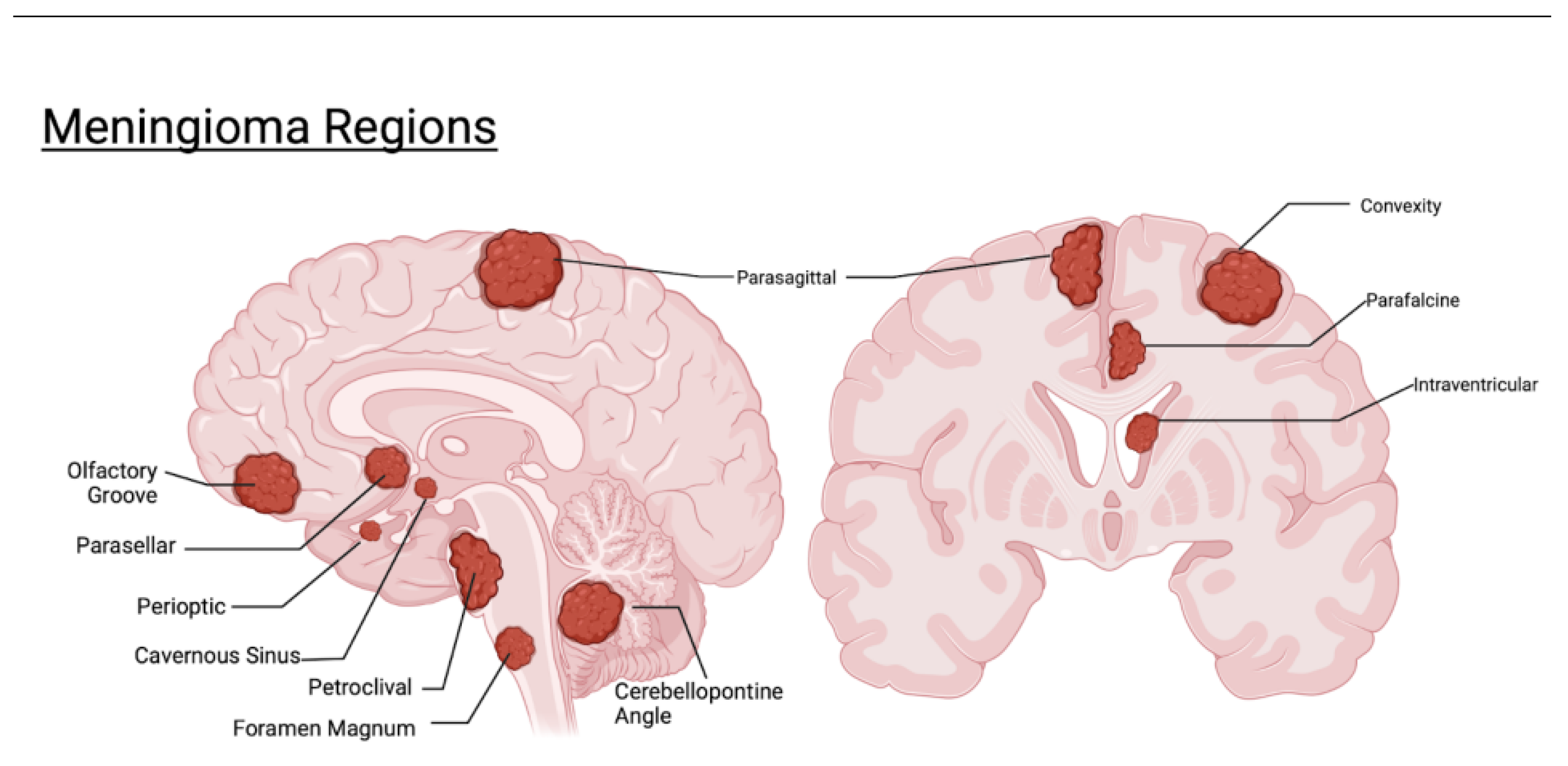 Preprints 139371 g001