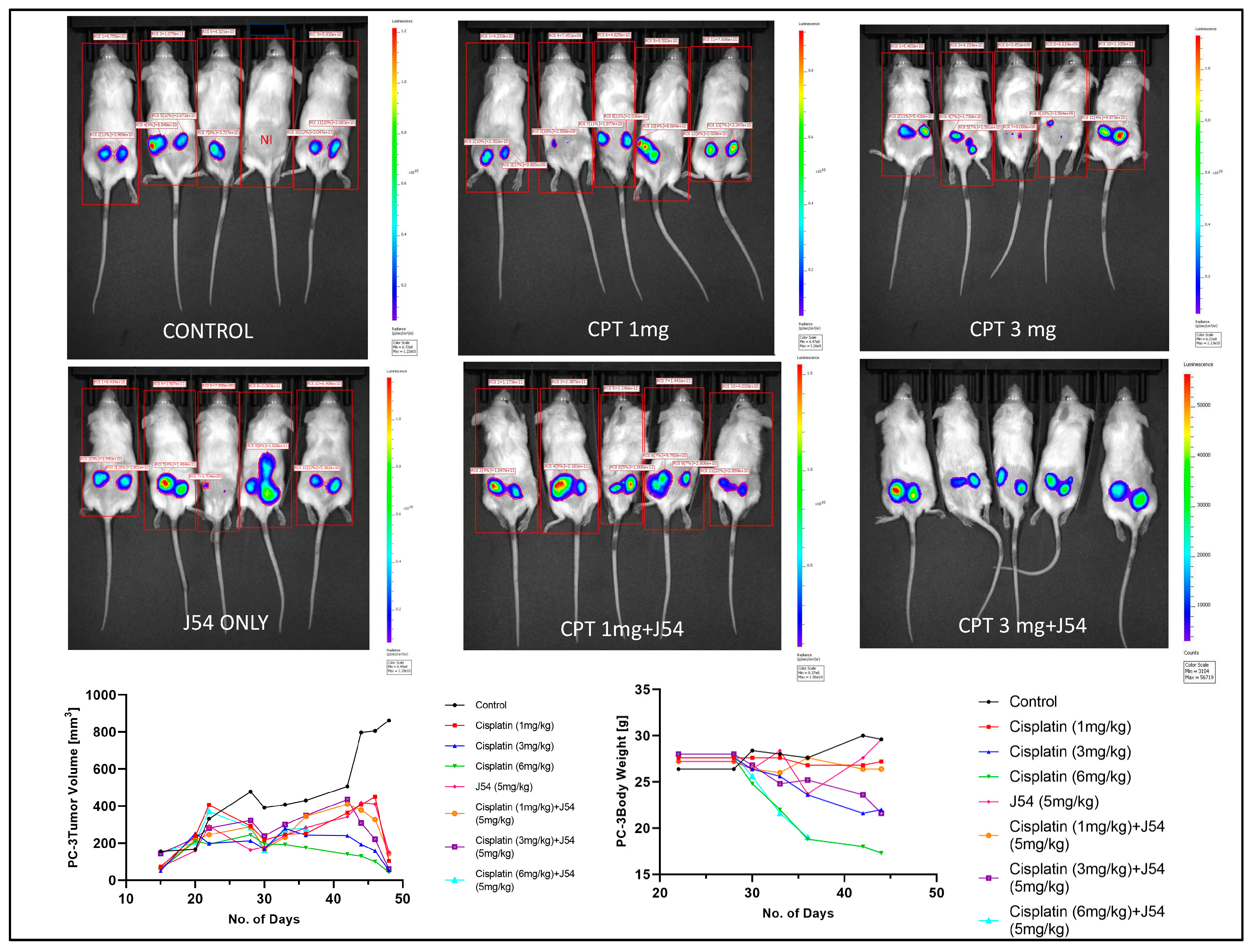 Preprints 81231 g003