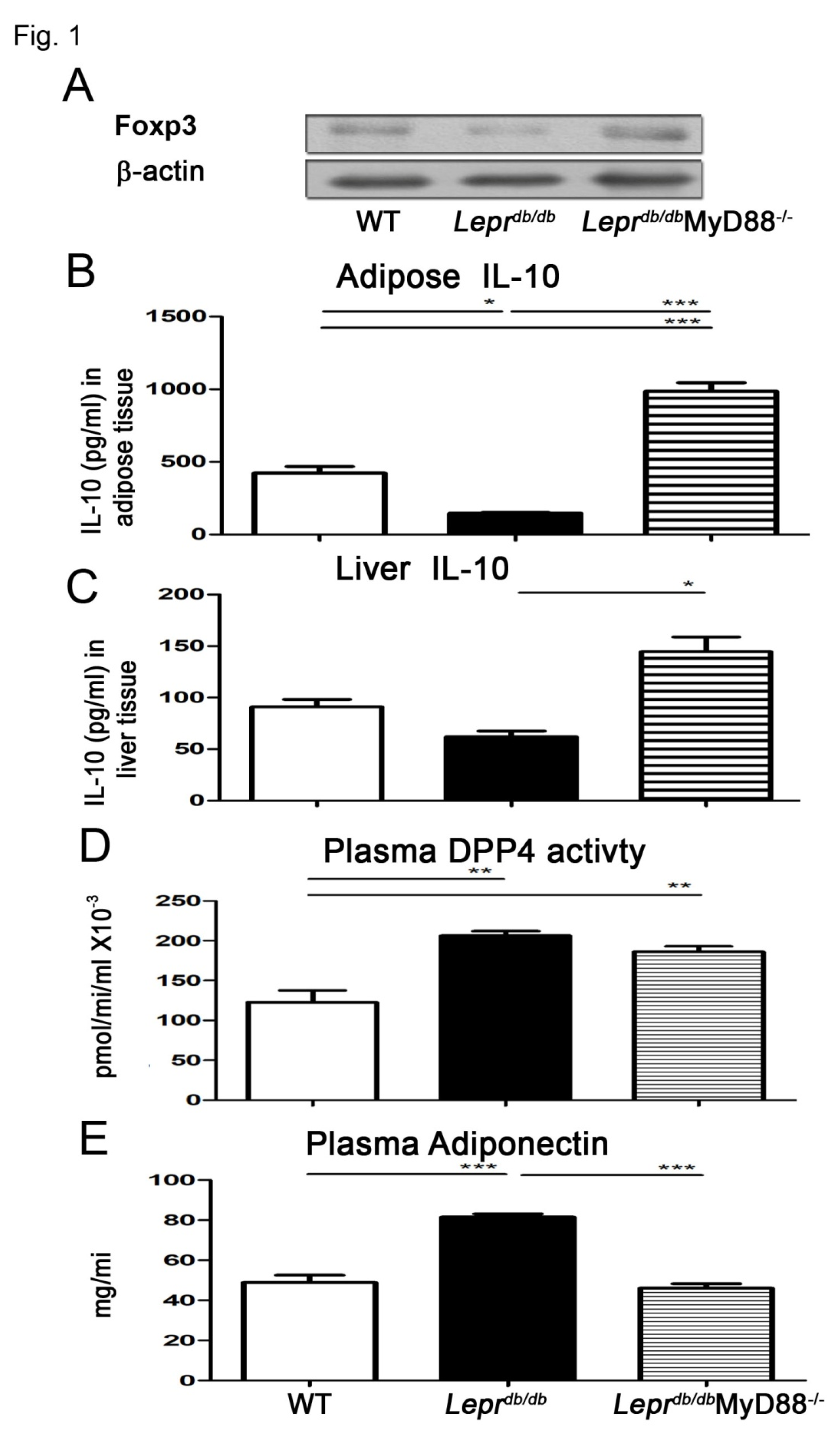 Preprints 199836 g001
