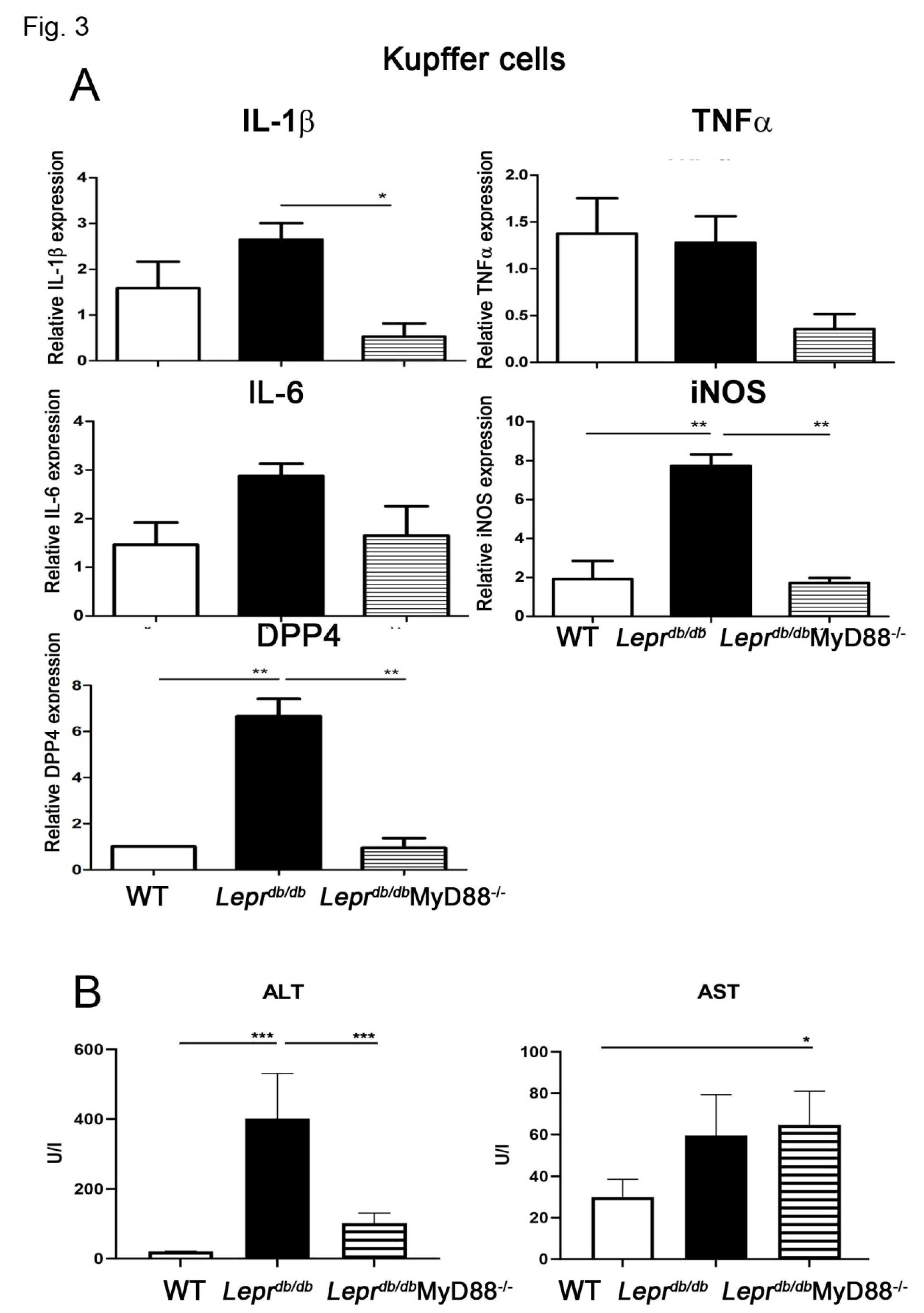 Preprints 199836 g003