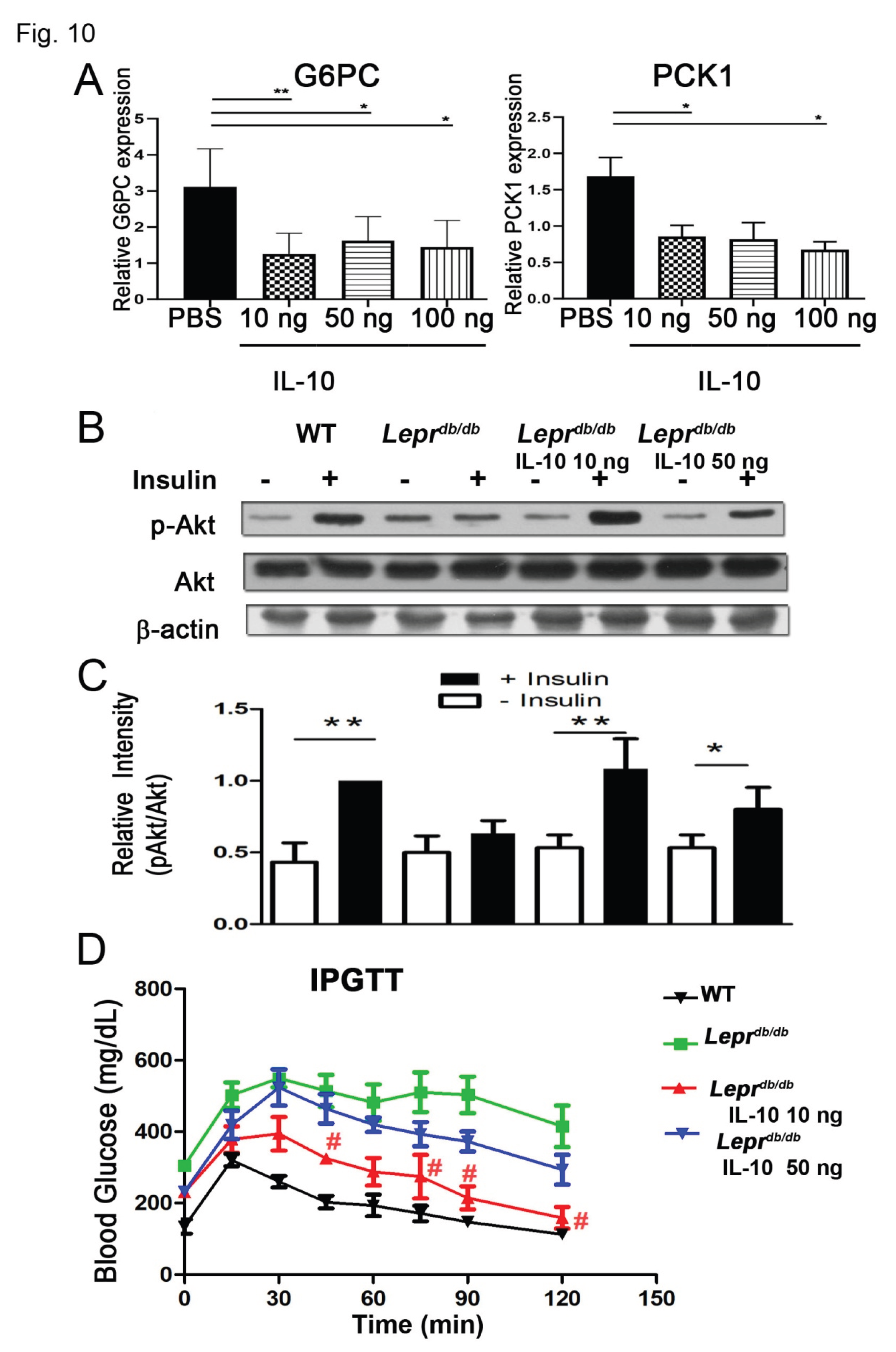 Preprints 199836 g010
