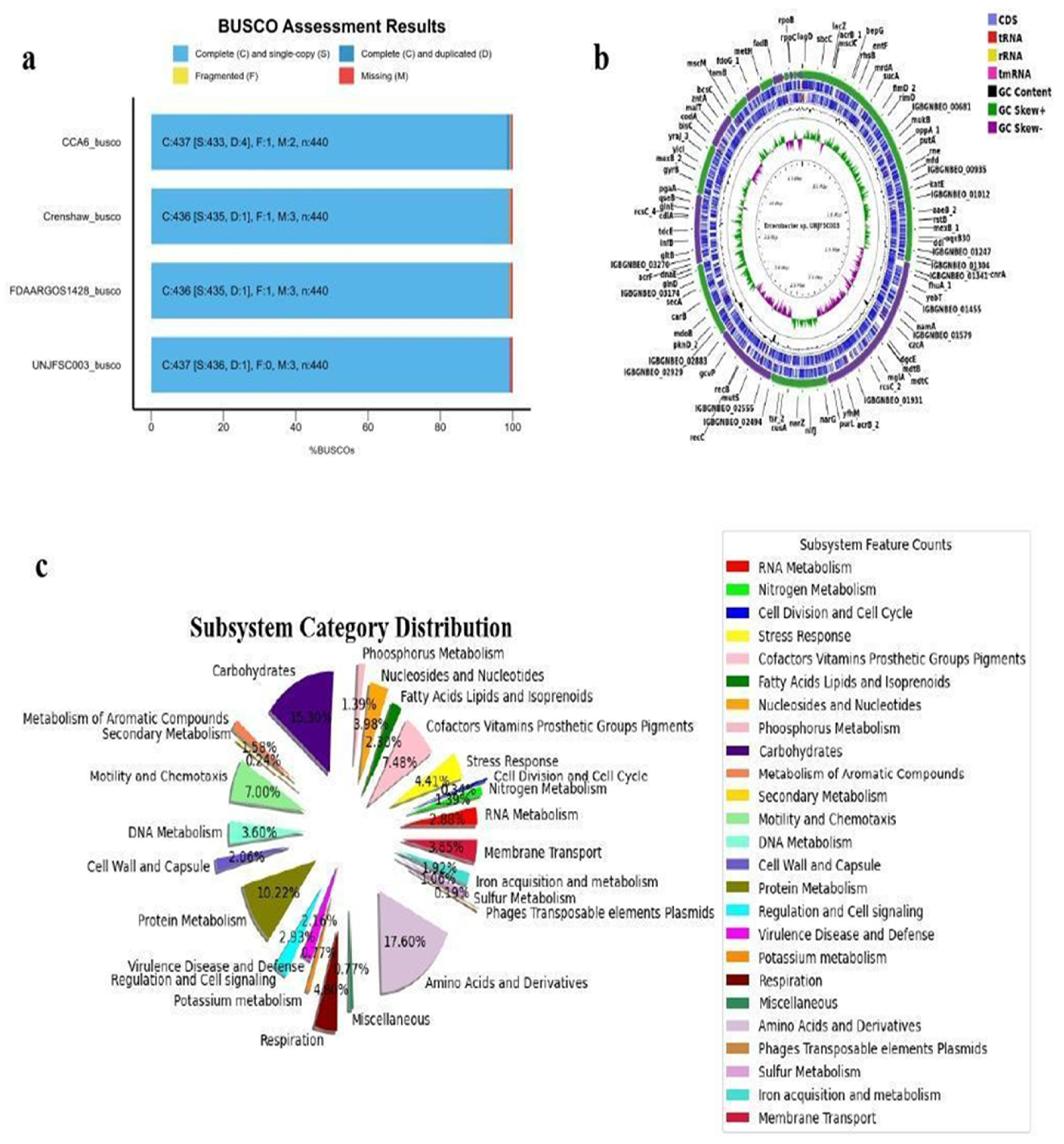 Preprints 117839 g001