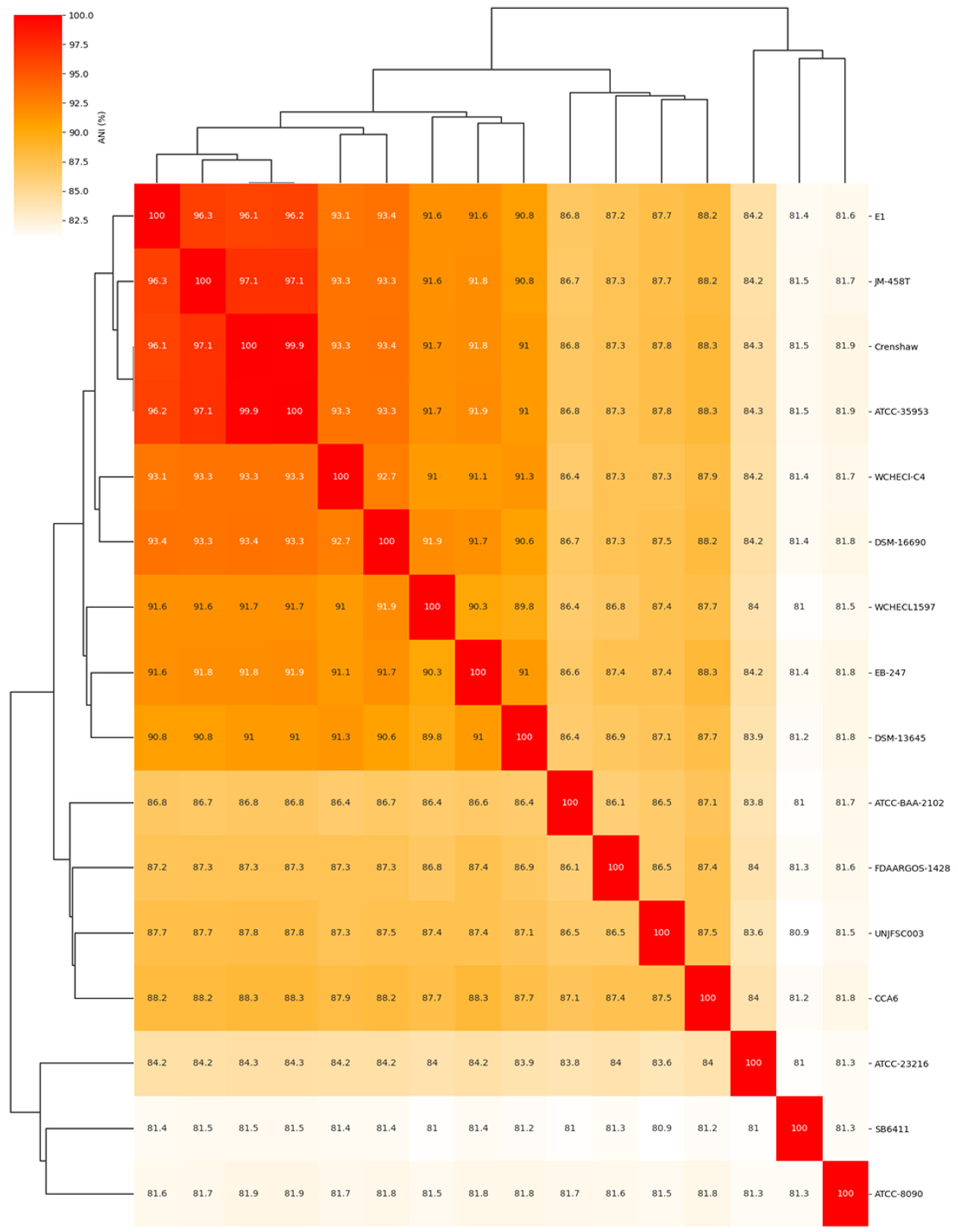 Preprints 117839 g002