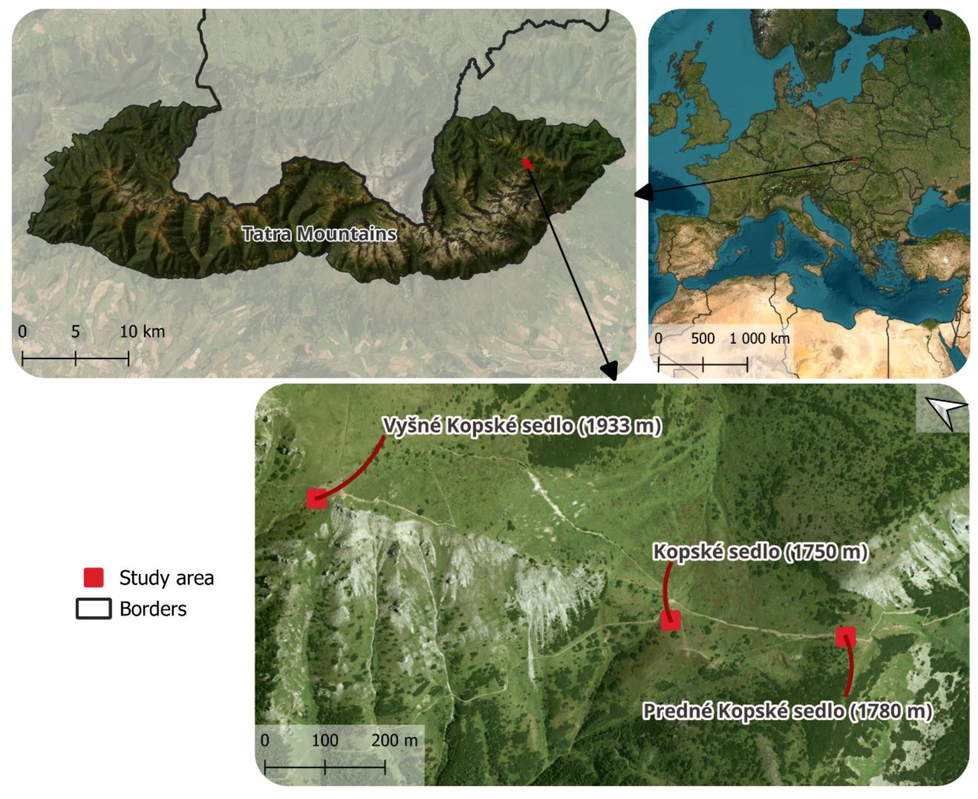 Preprints 154219 g001