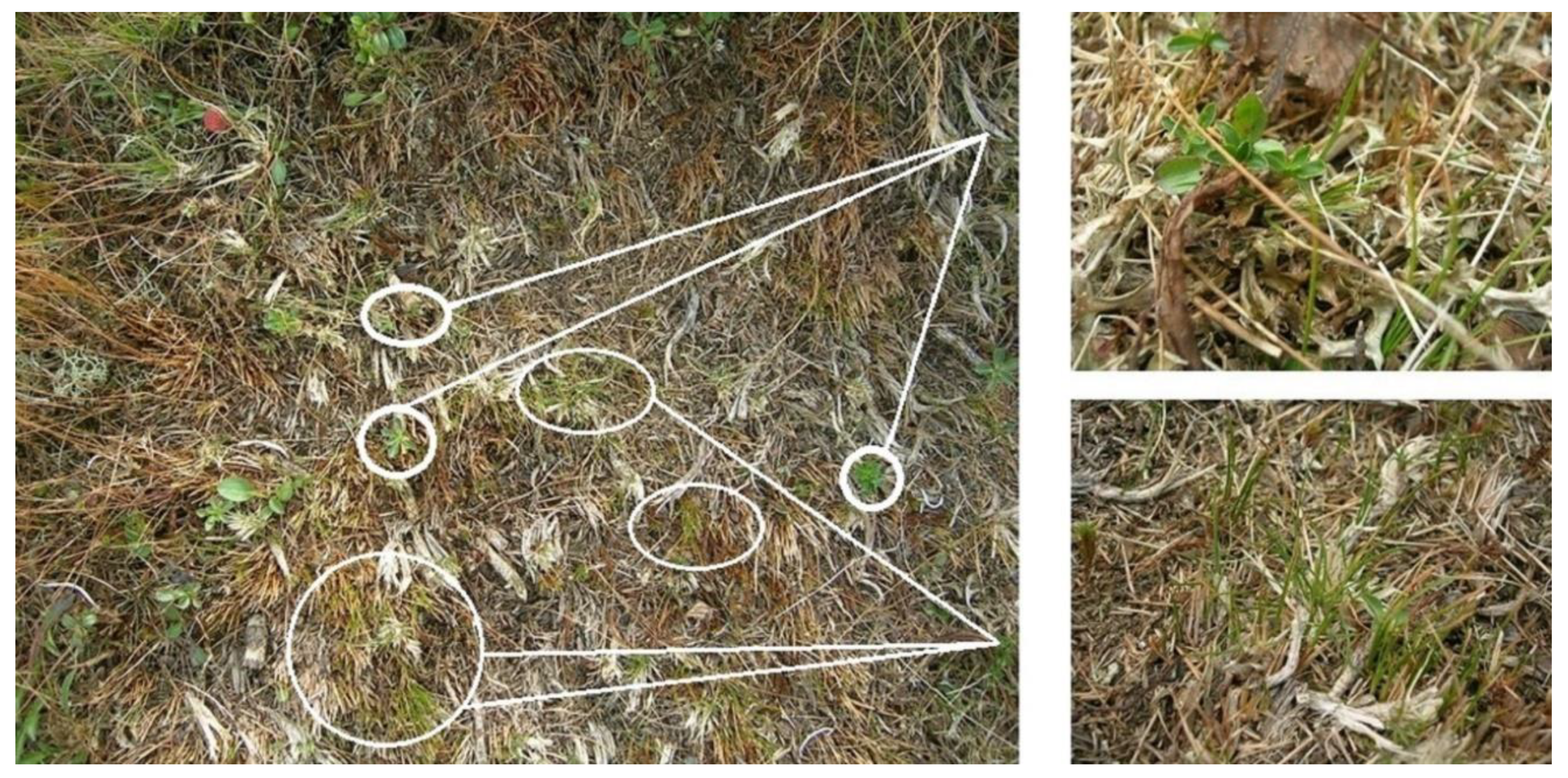 Preprints 154219 g007