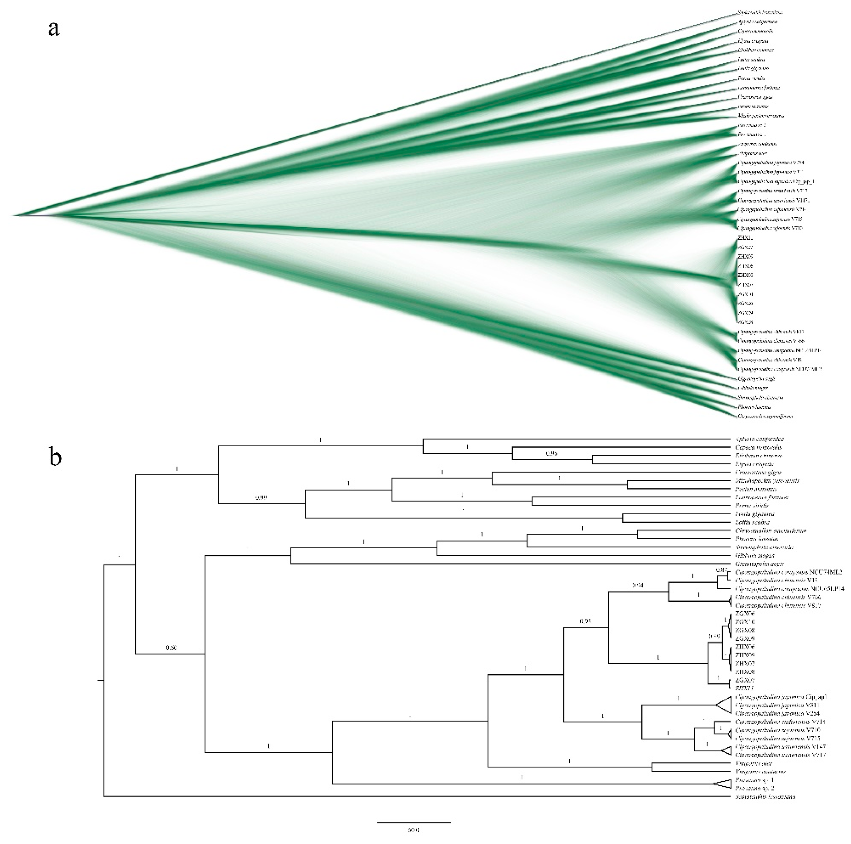 Preprints 220317 g004 Preprints 220317 g004