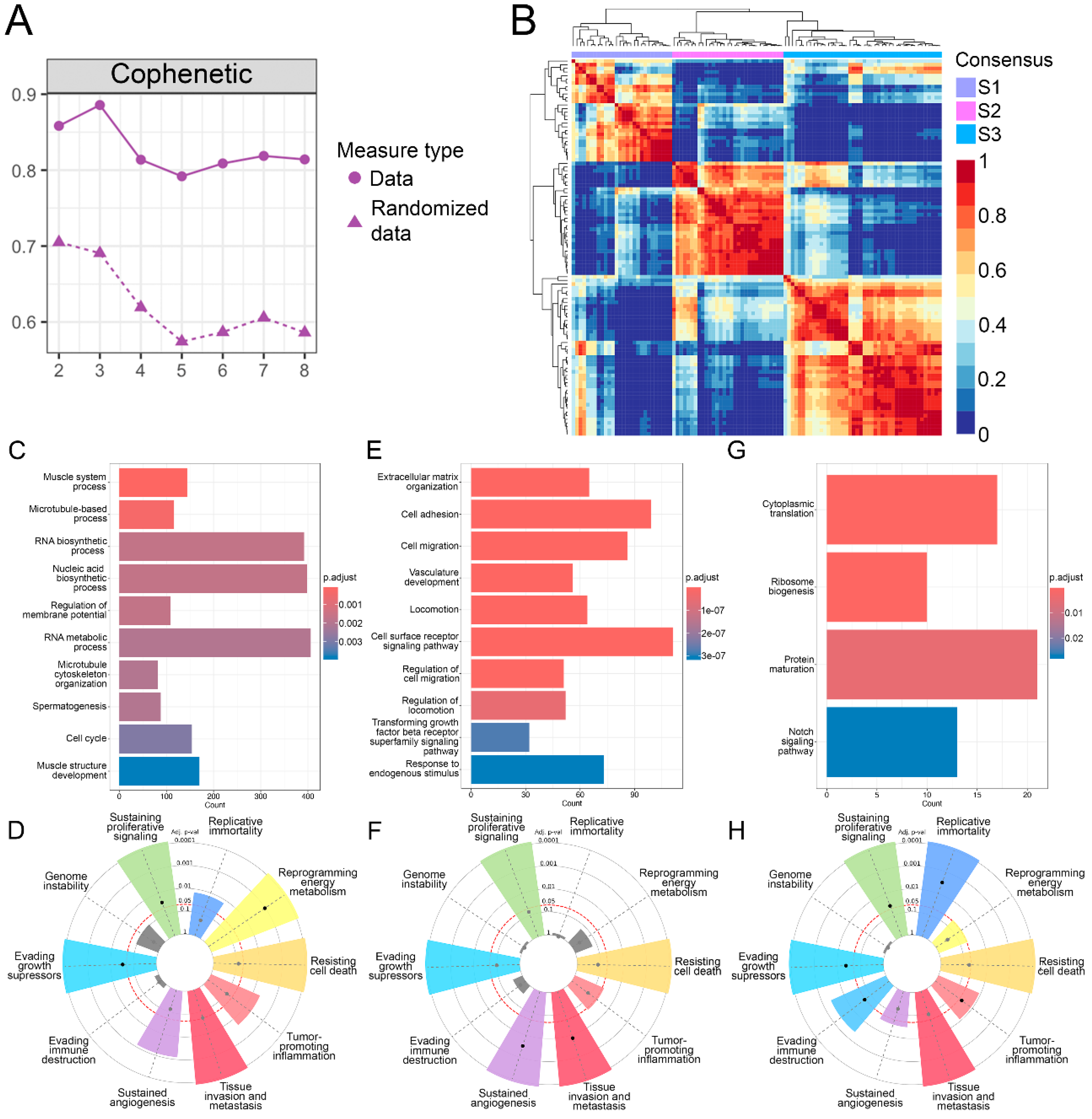 Preprints 152150 g001
