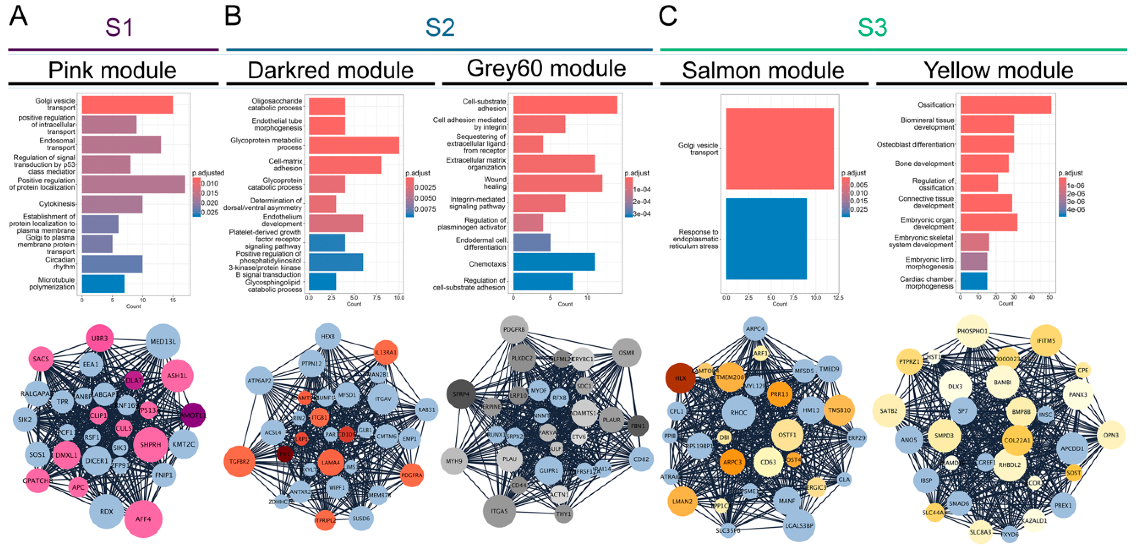 Preprints 152150 g002