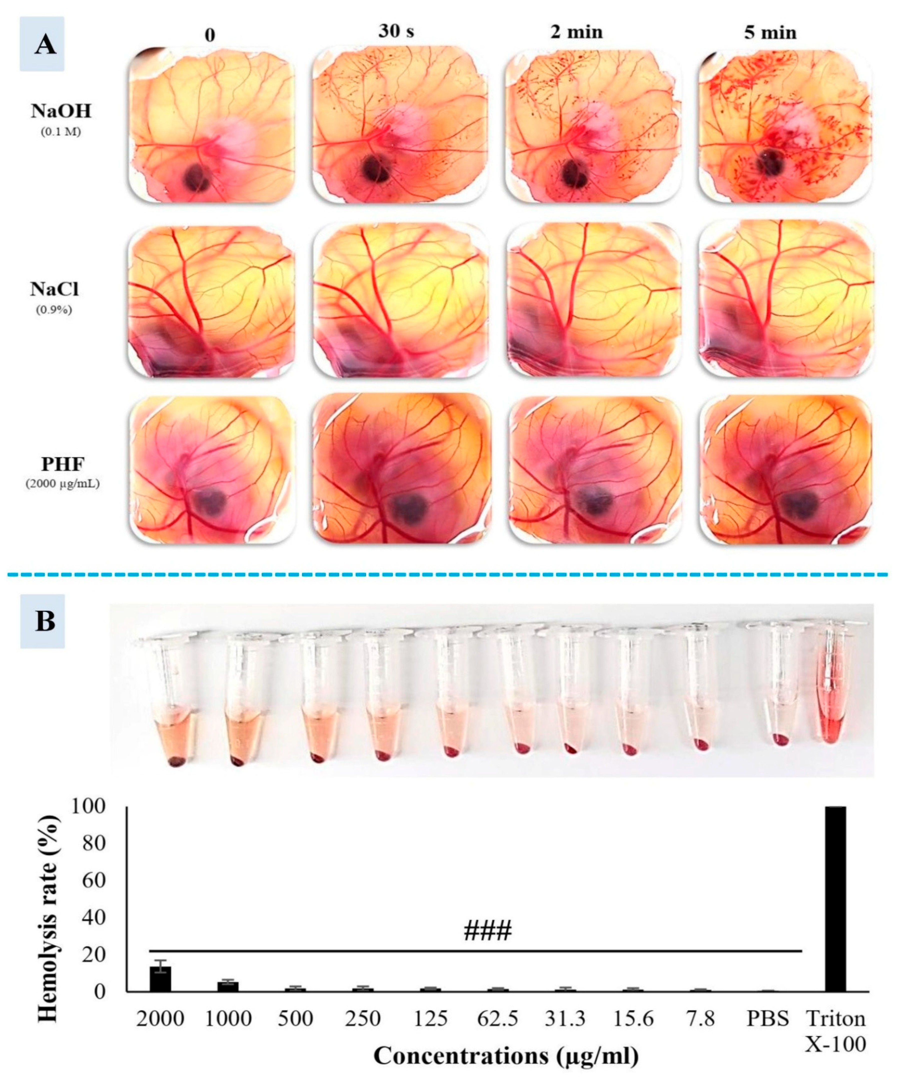Preprints 158284 g006