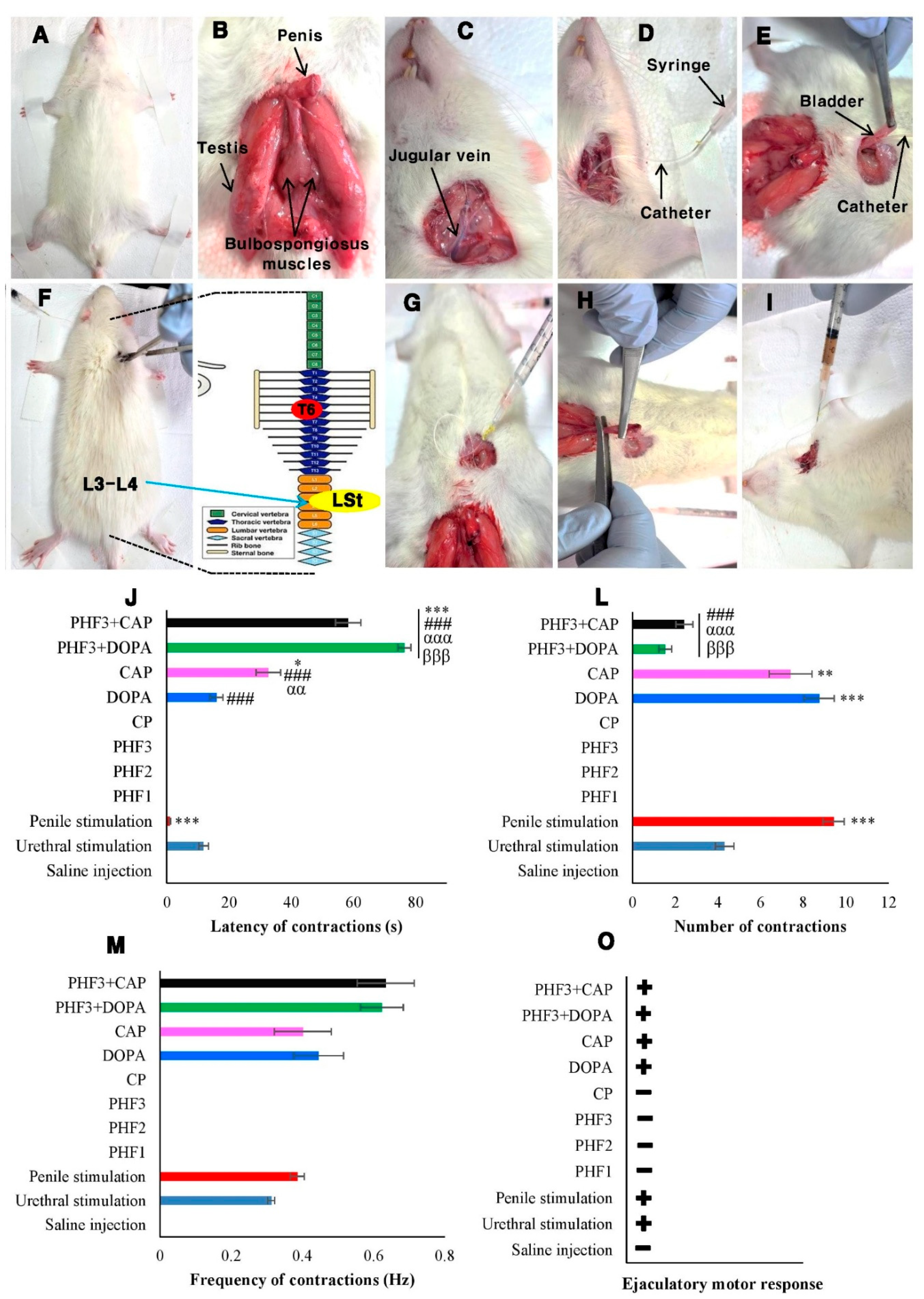 Preprints 158284 g007