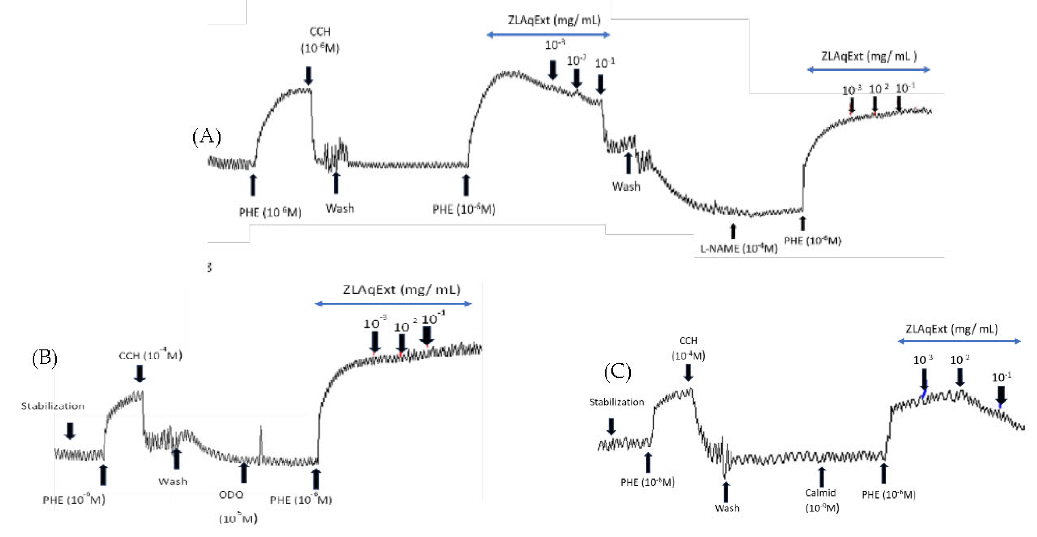 Preprints 223735 g002a