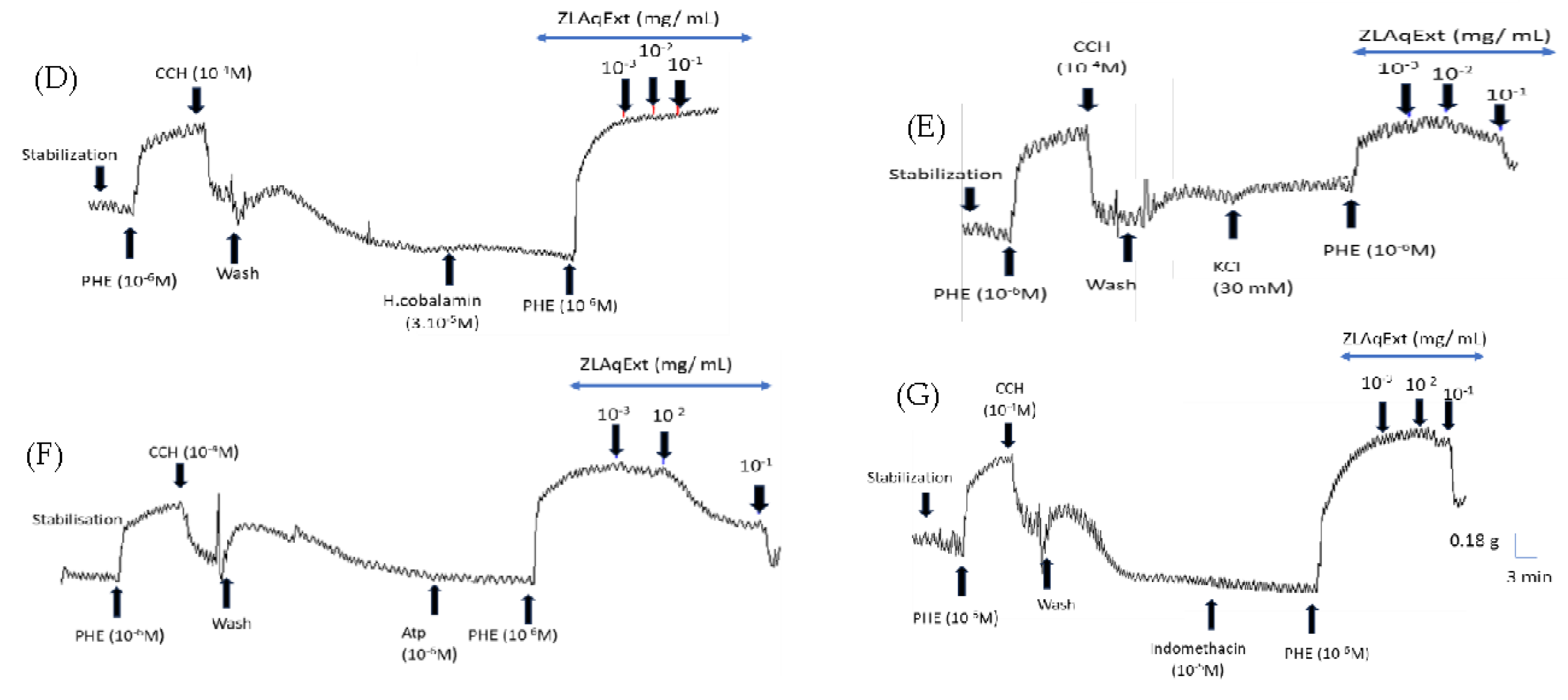 Preprints 223735 g002b