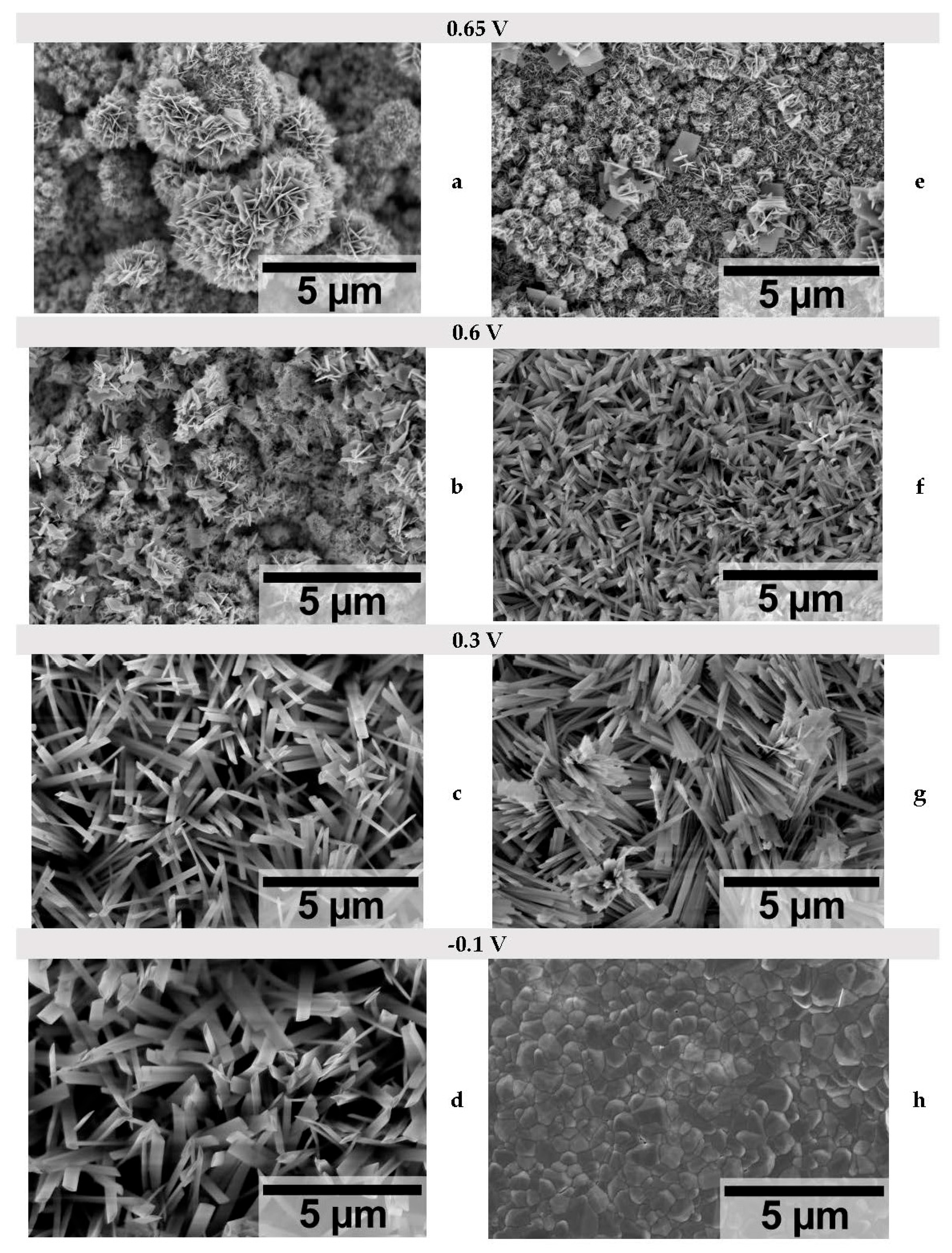 Preprints 148047 g005