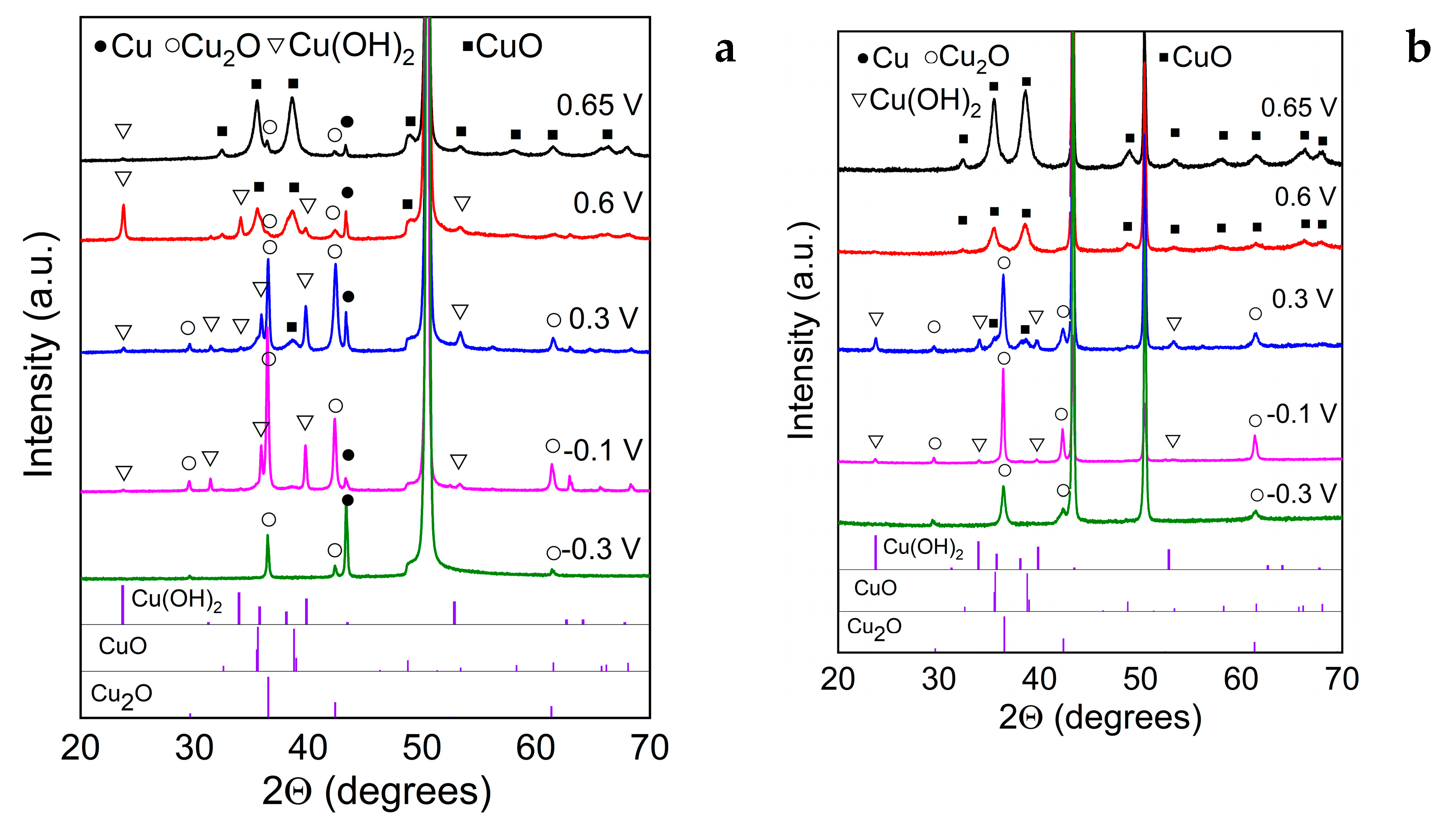 Preprints 148047 g006