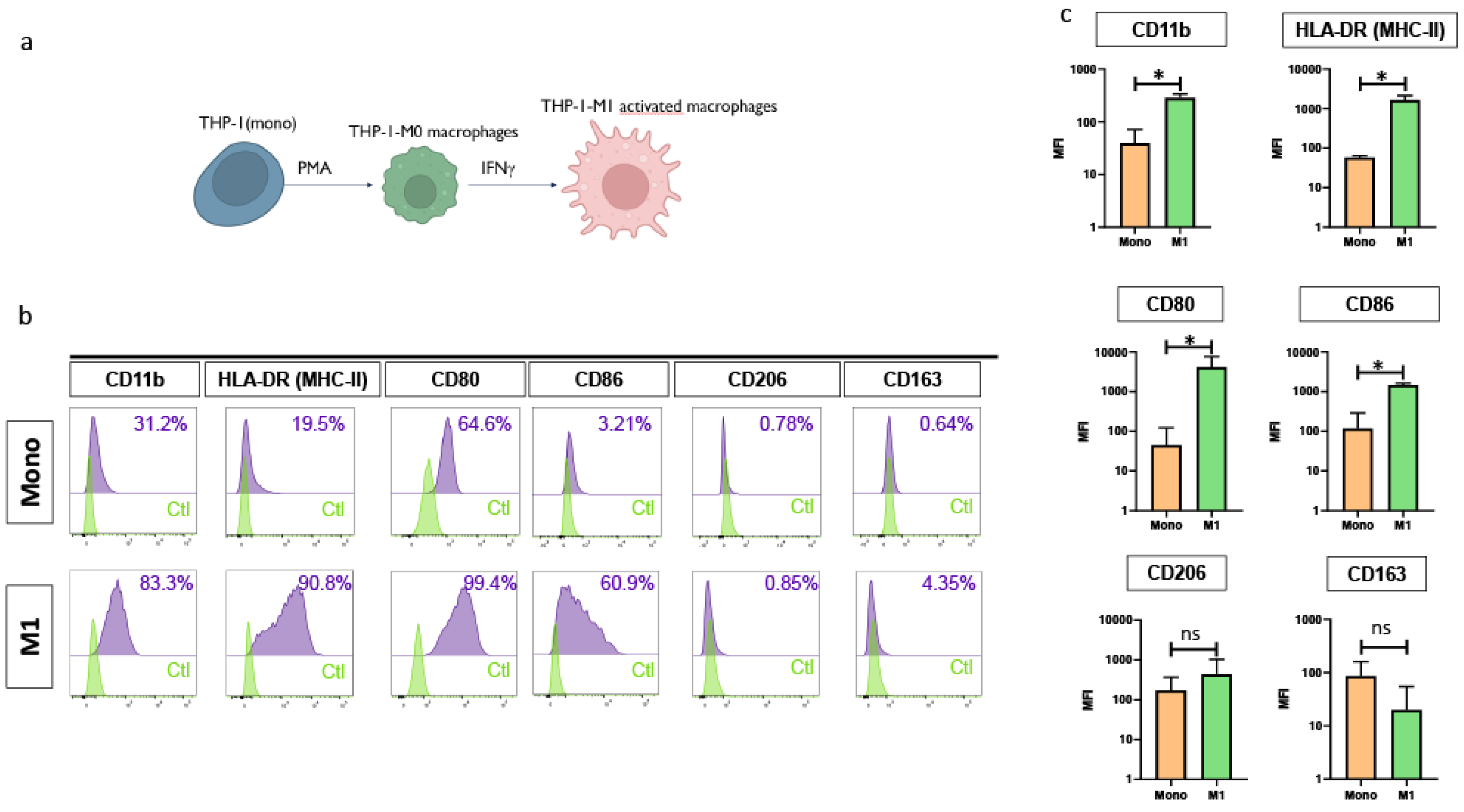 Preprints 184169 g001