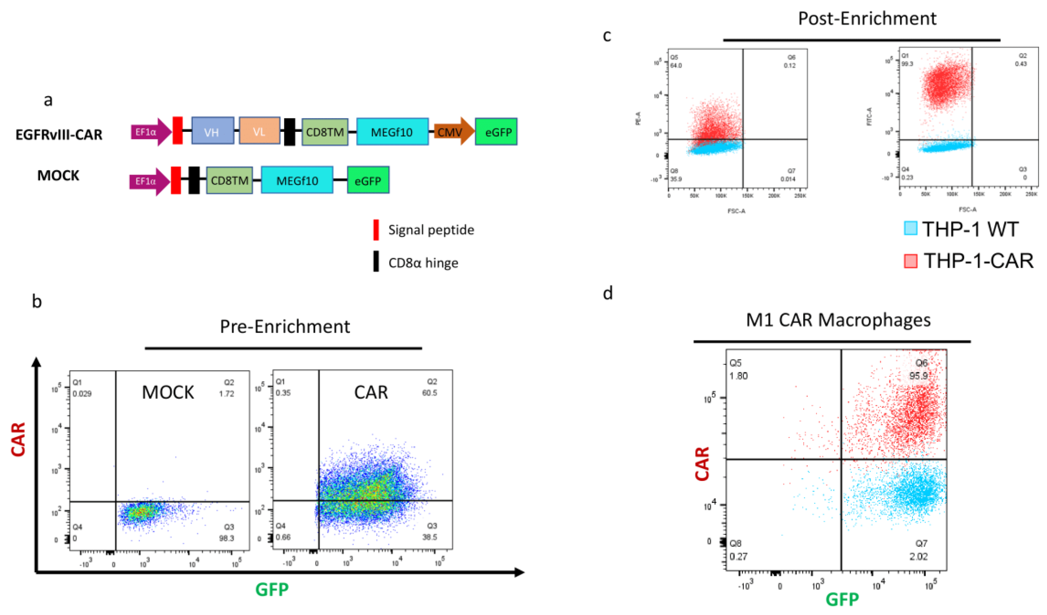 Preprints 184169 g002