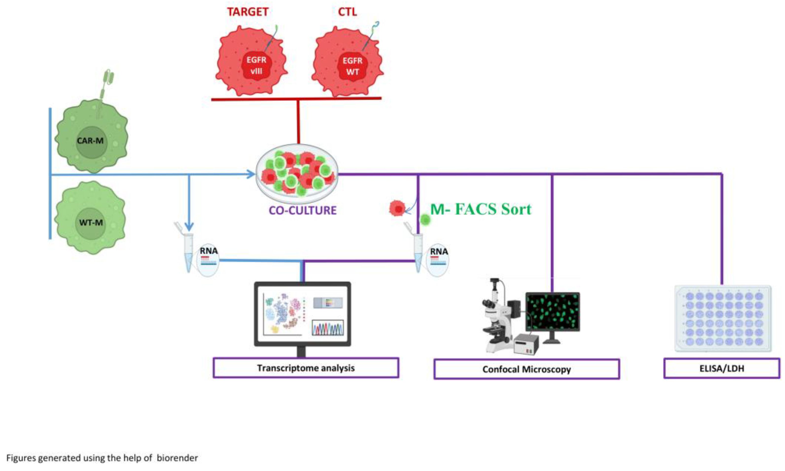Preprints 184169 g003