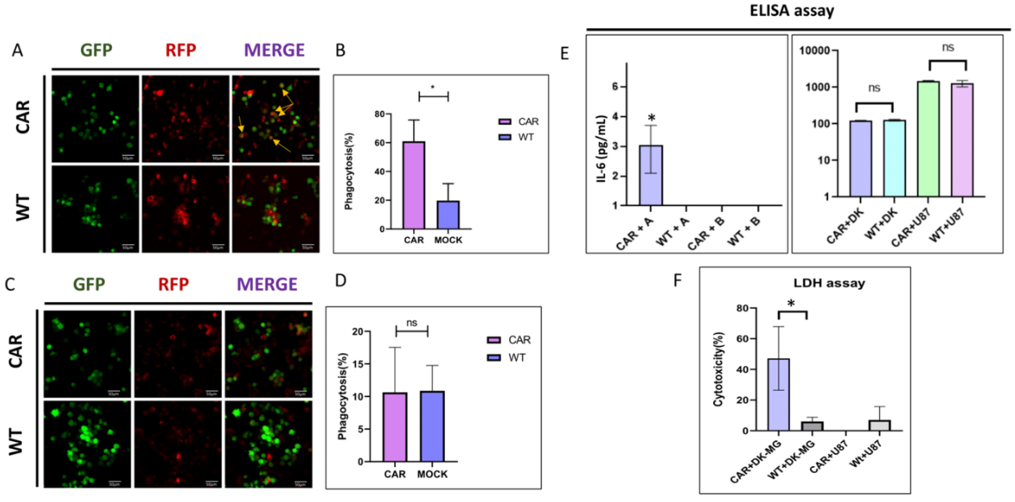 Preprints 184169 g004