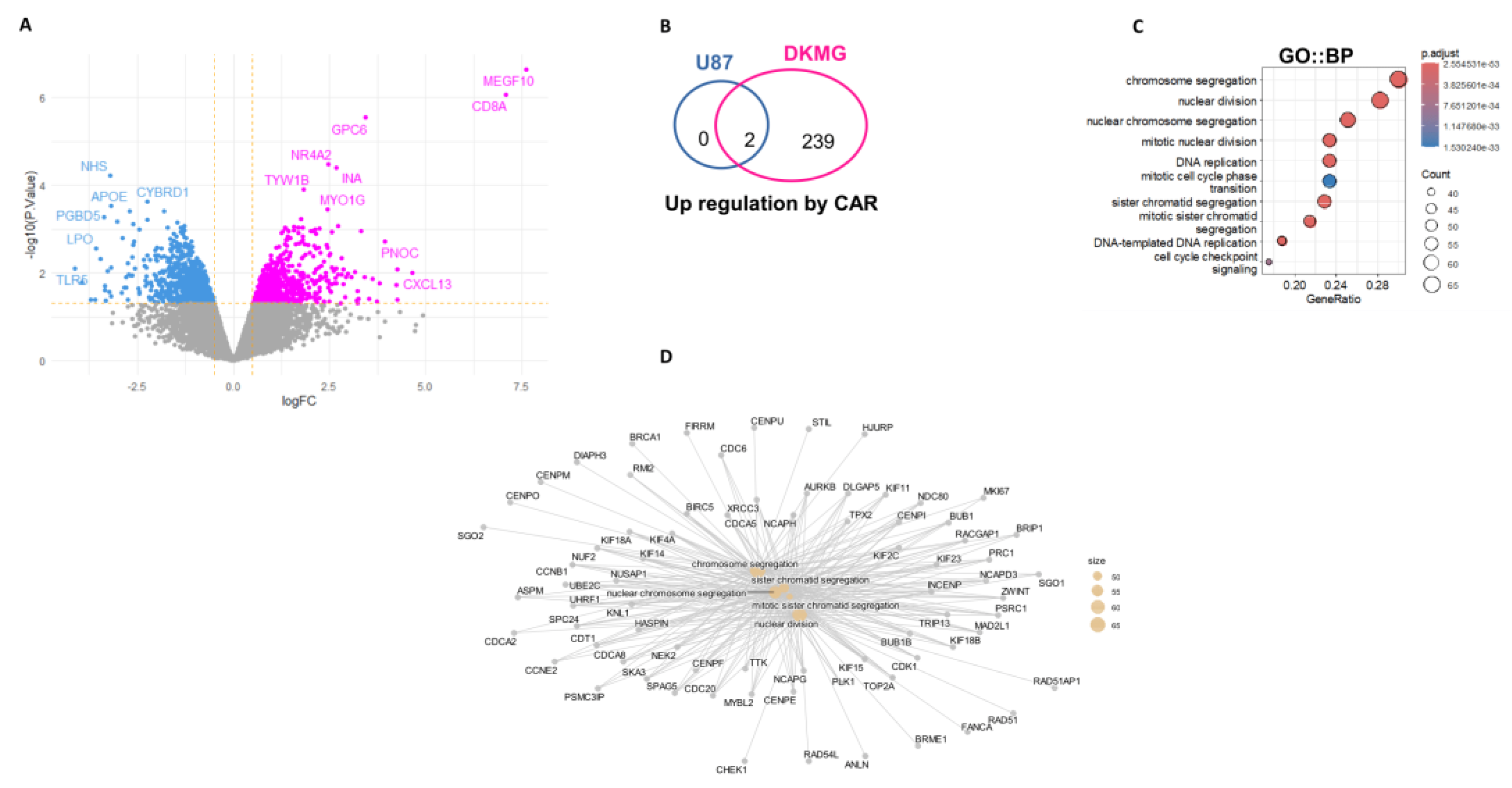 Preprints 184169 g005