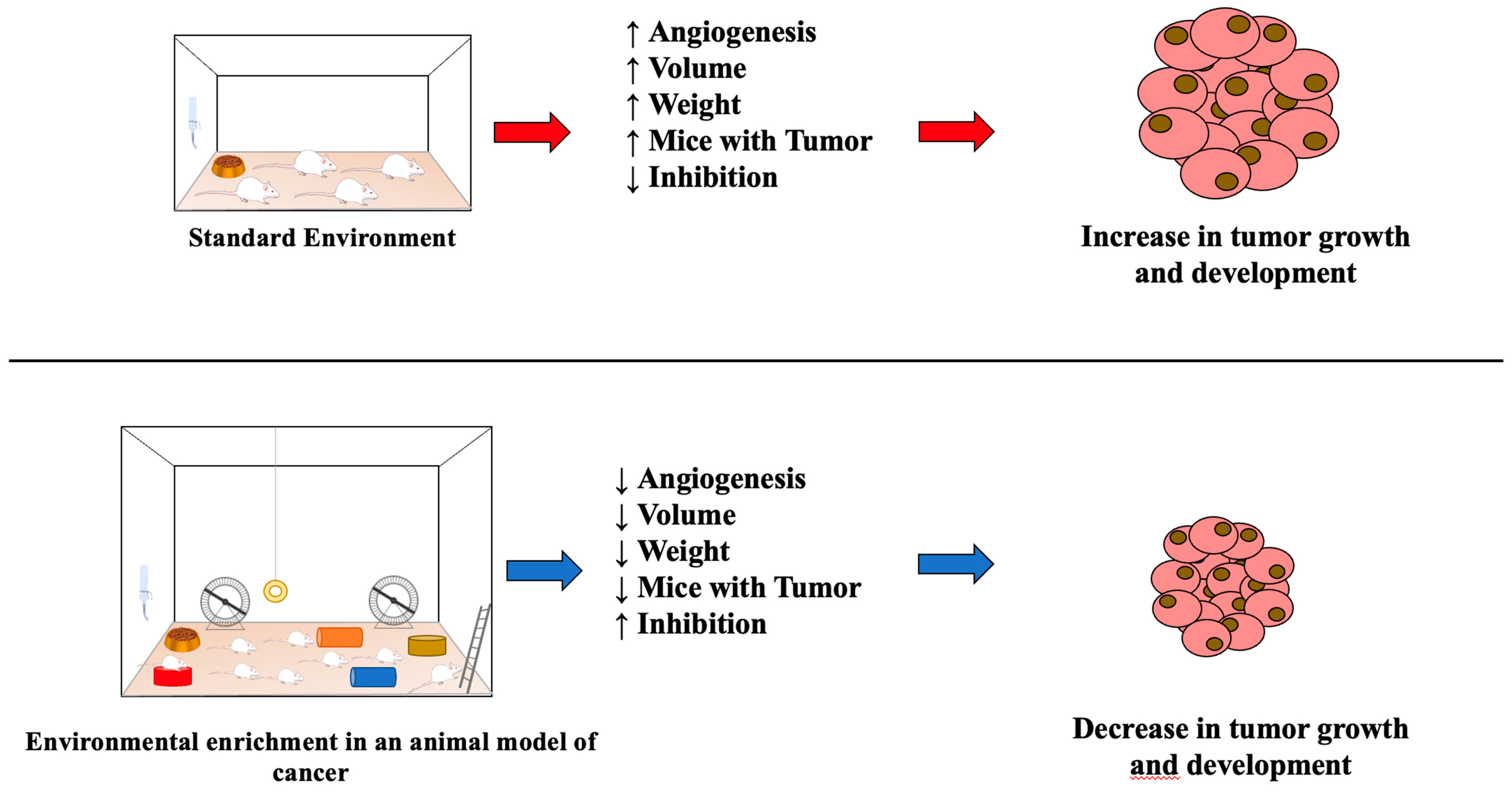 Preprints 86861 g002