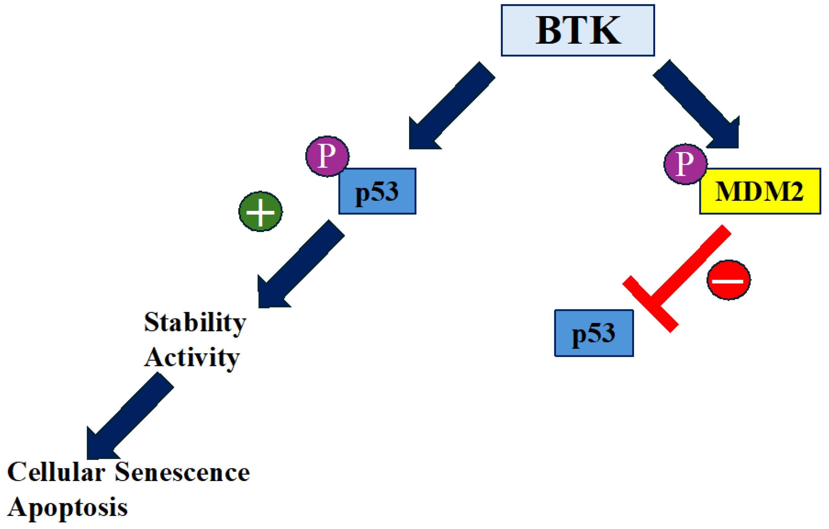 Preprints 155930 g001