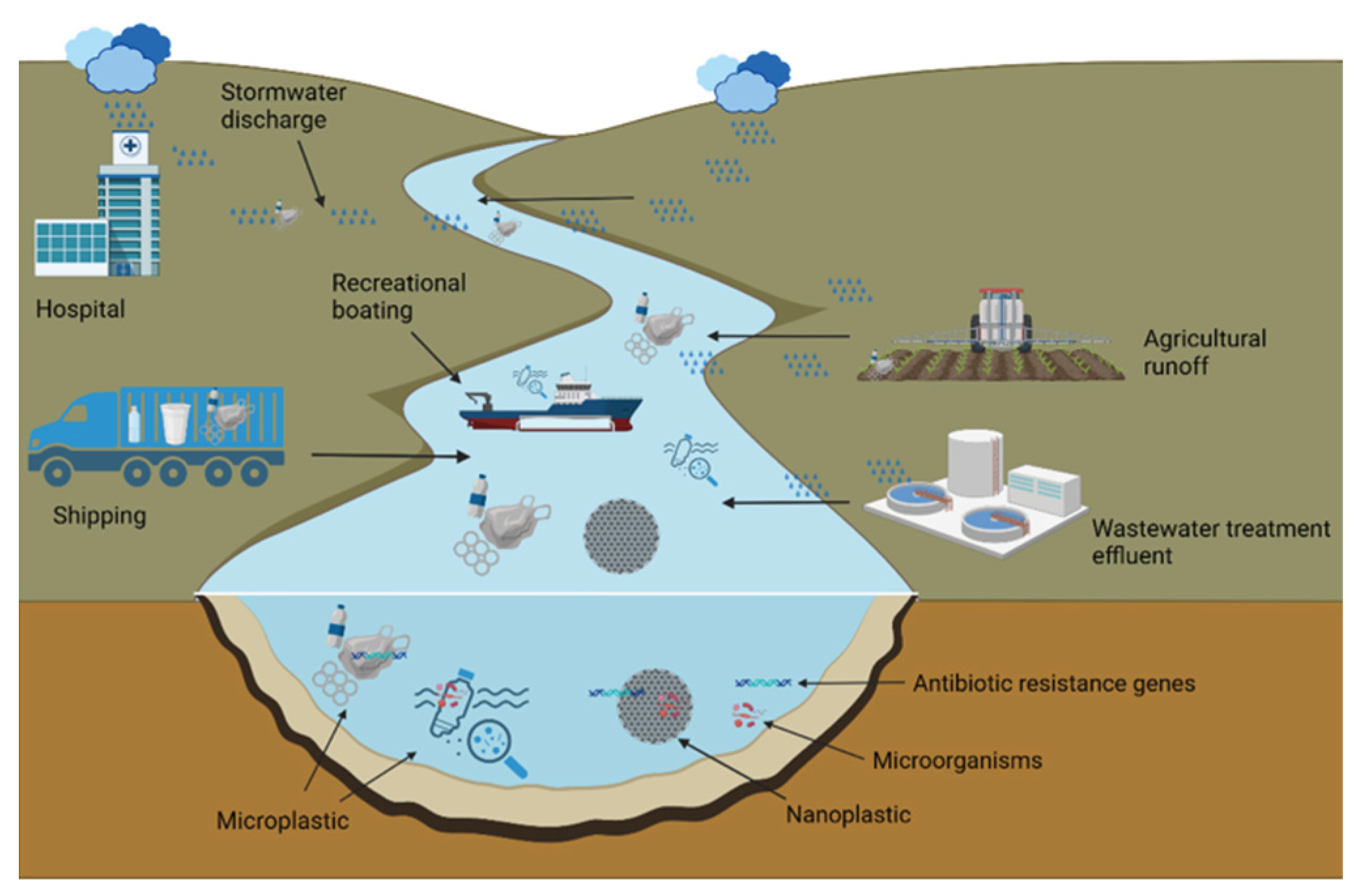 Preprints 181384 g001