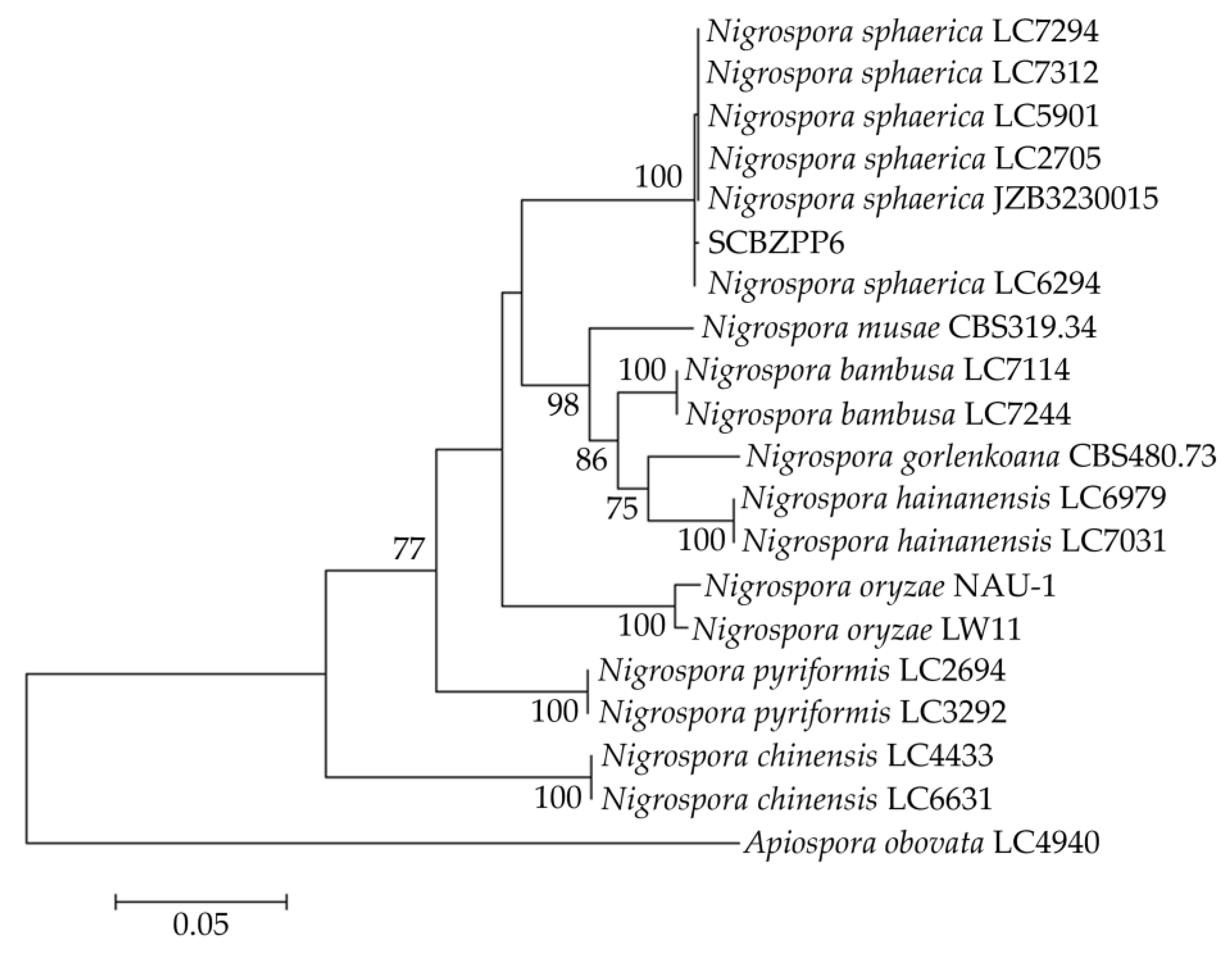 Preprints 139420 g003