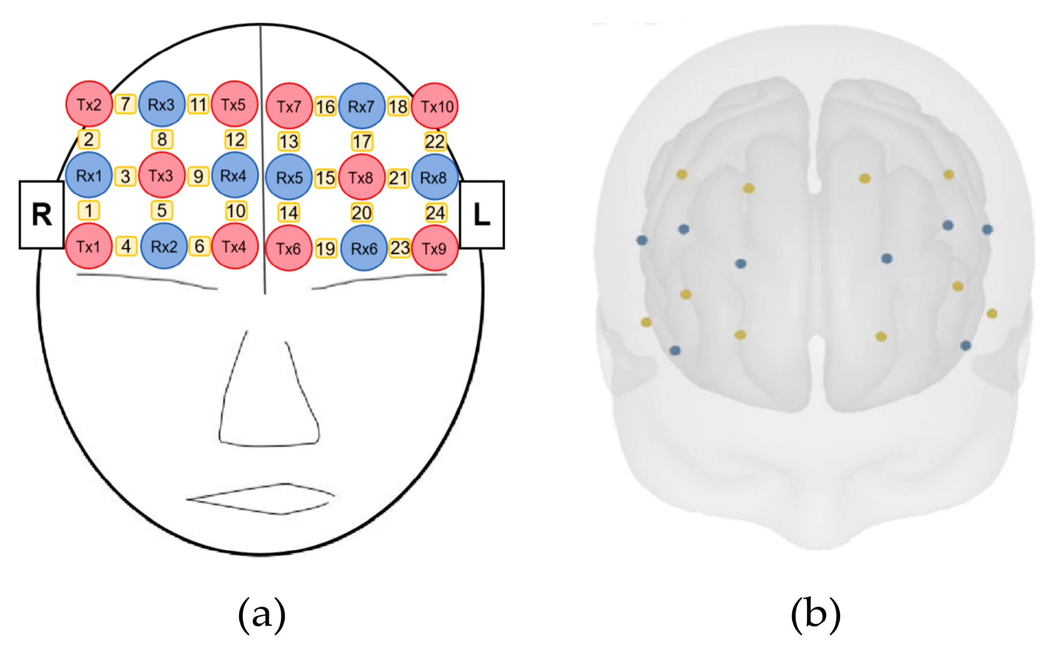 Preprints 145834 g004