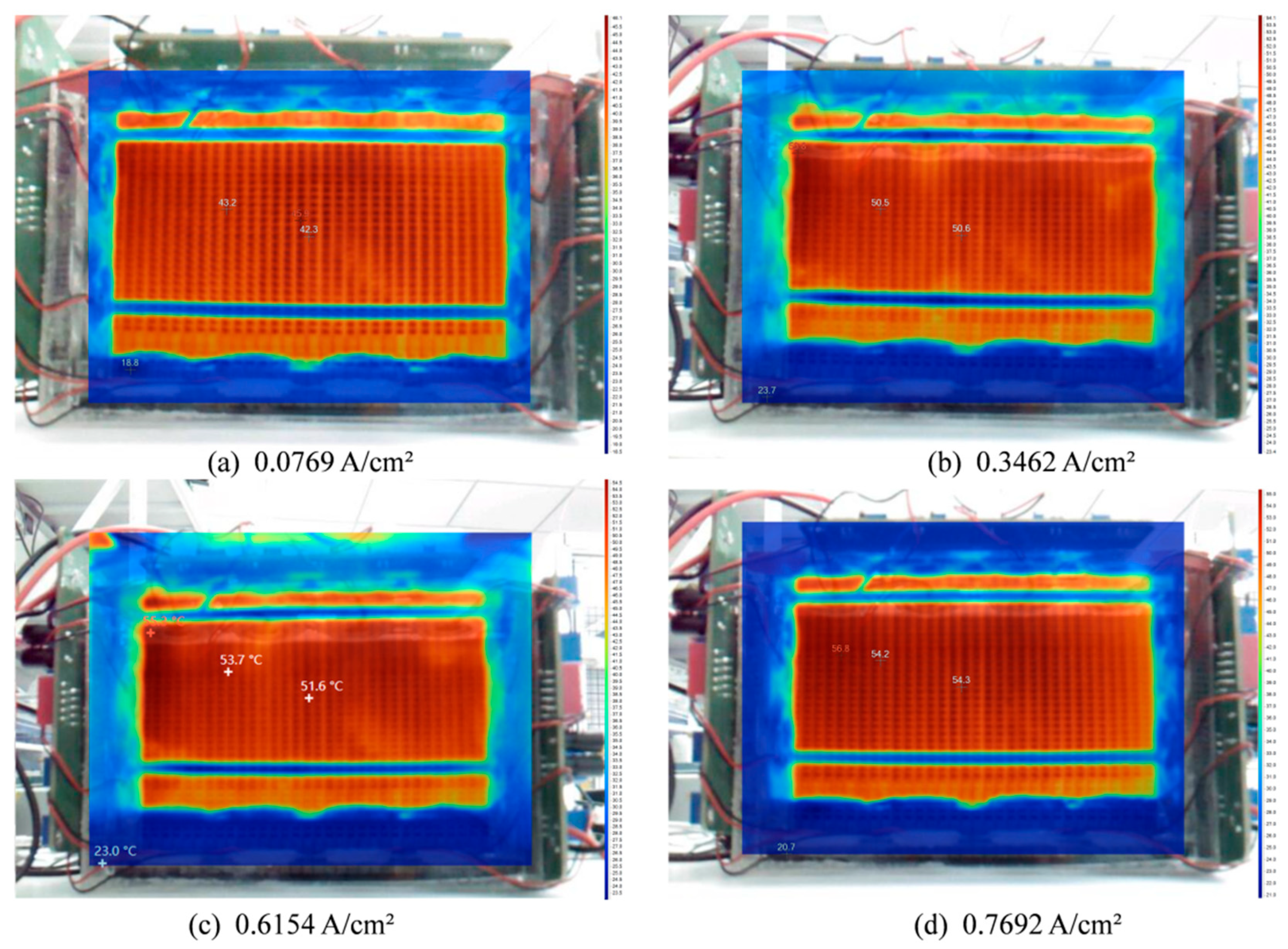 Preprints 207022 g010