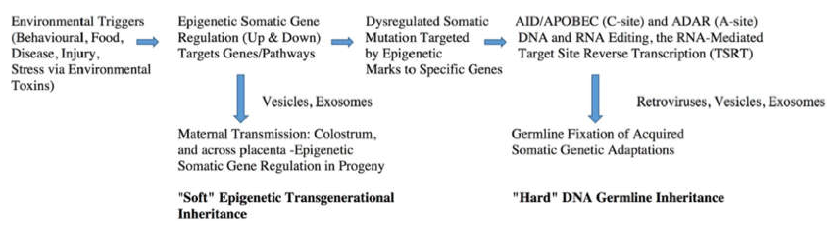 Preprints 196595 g001