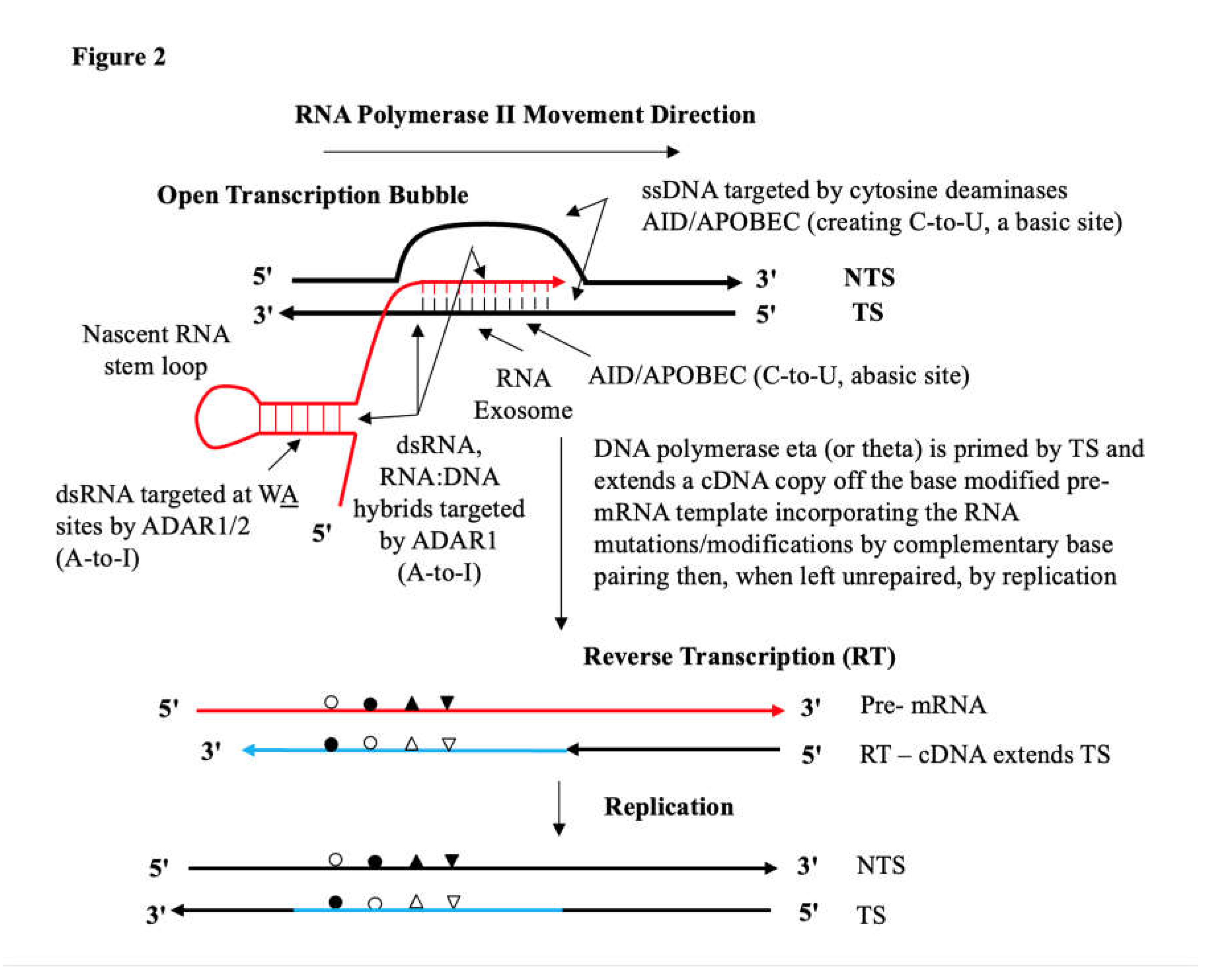 Preprints 196595 g002