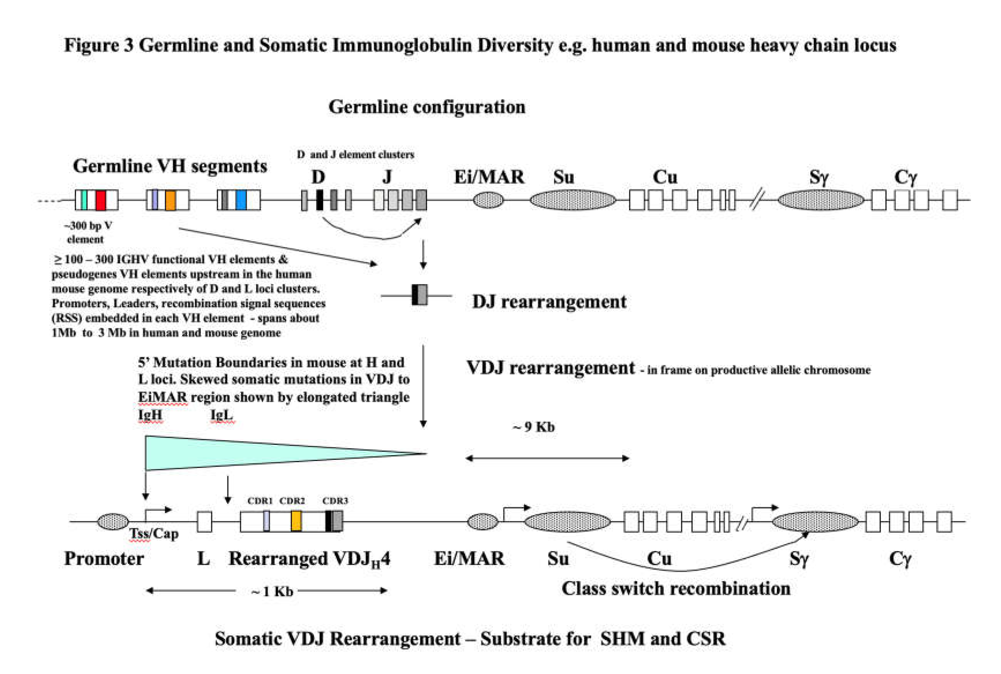 Preprints 196595 g003