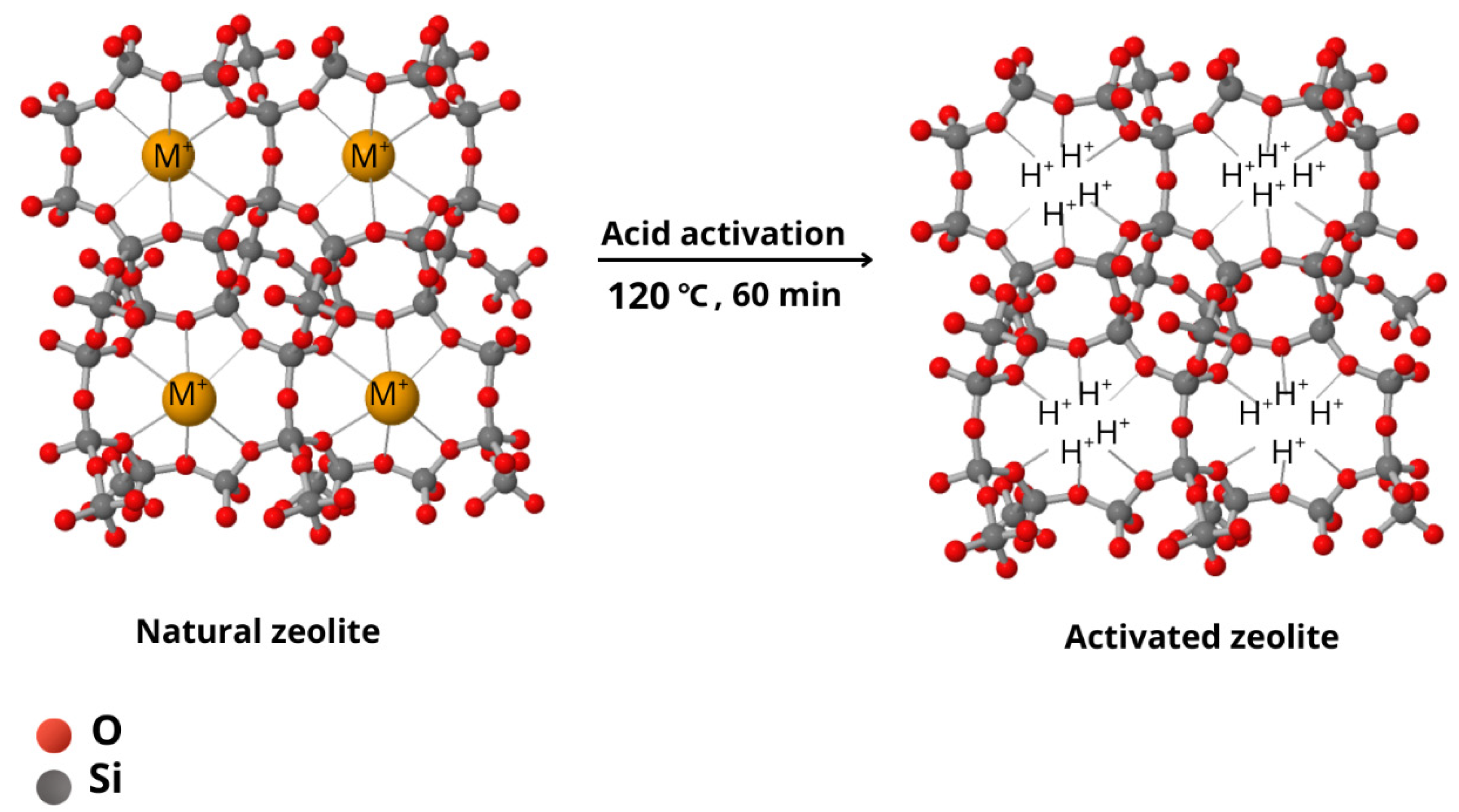Preprints 161048 g002