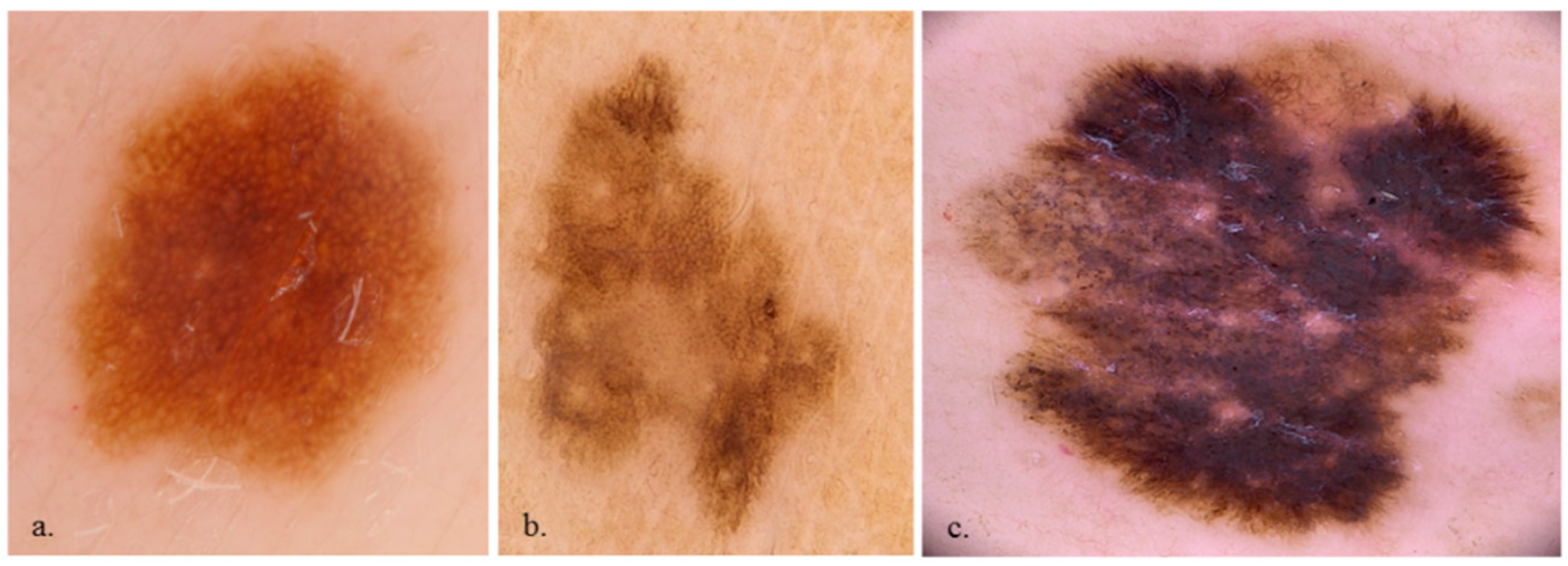 Preprints 74880 g001