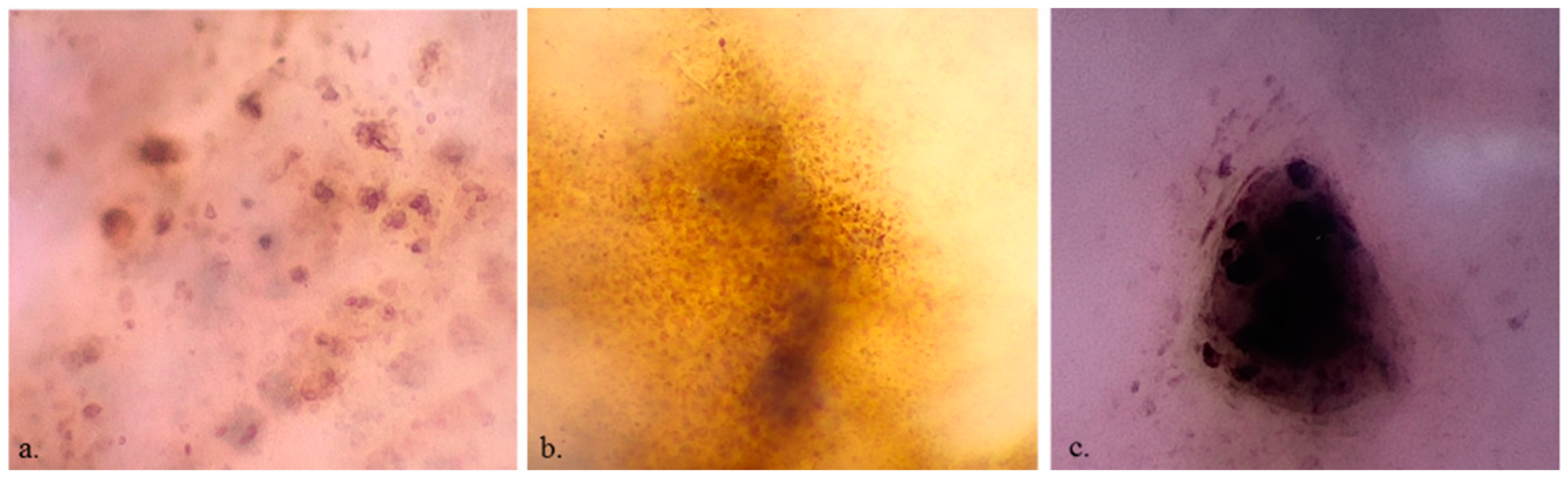 Preprints 74880 g002