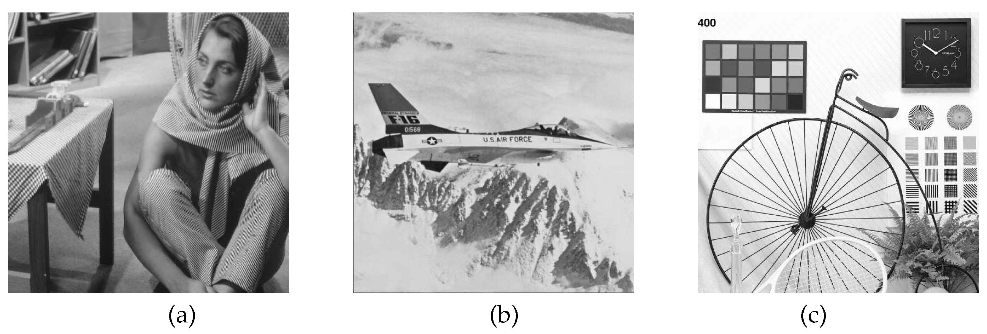 Preprints 98640 g008