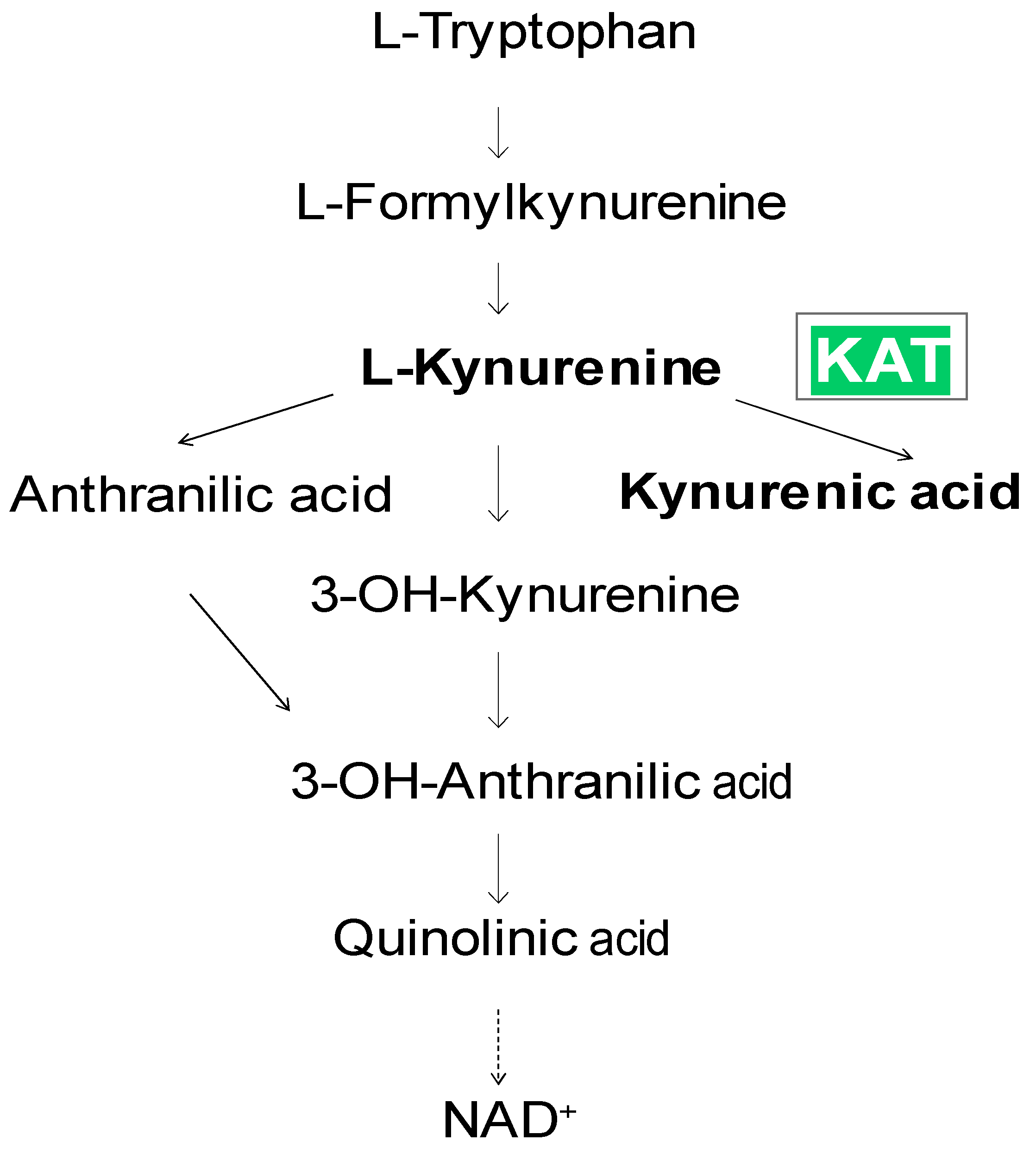 Preprints 121913 g001